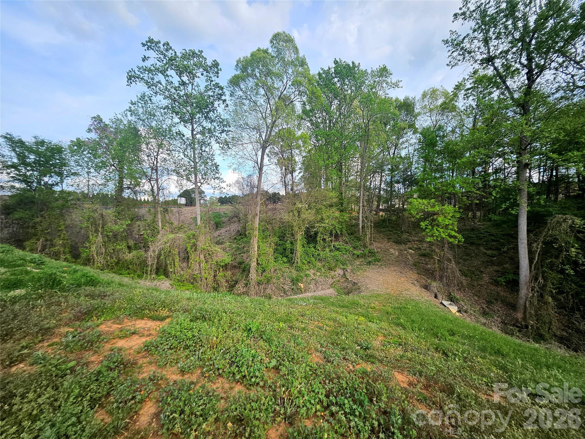 1110 Clark Hill Drive Property Photo 3