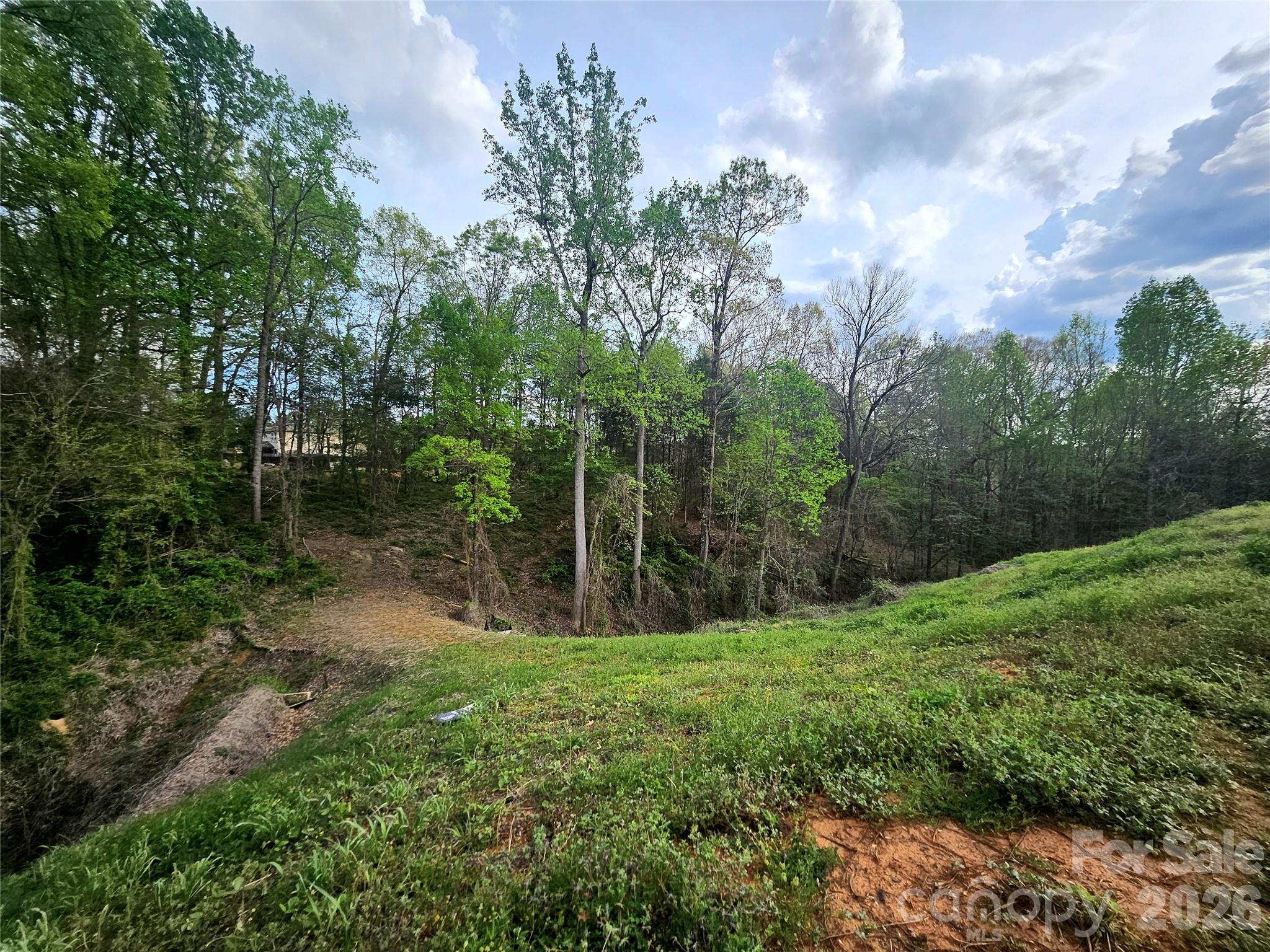 1110 Clark Hill Drive Property Photo 4