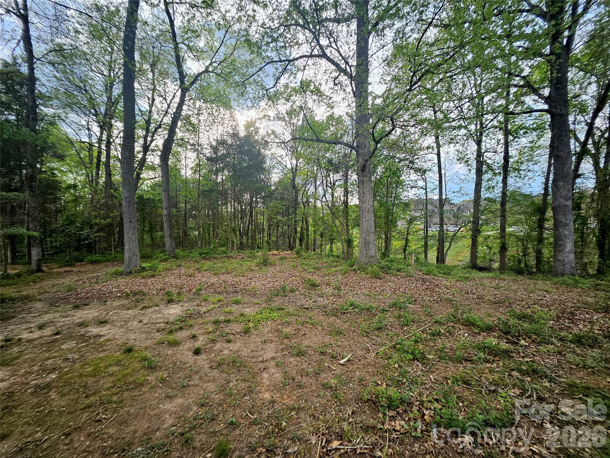 1110 Clark Hill Drive Property Photo 5