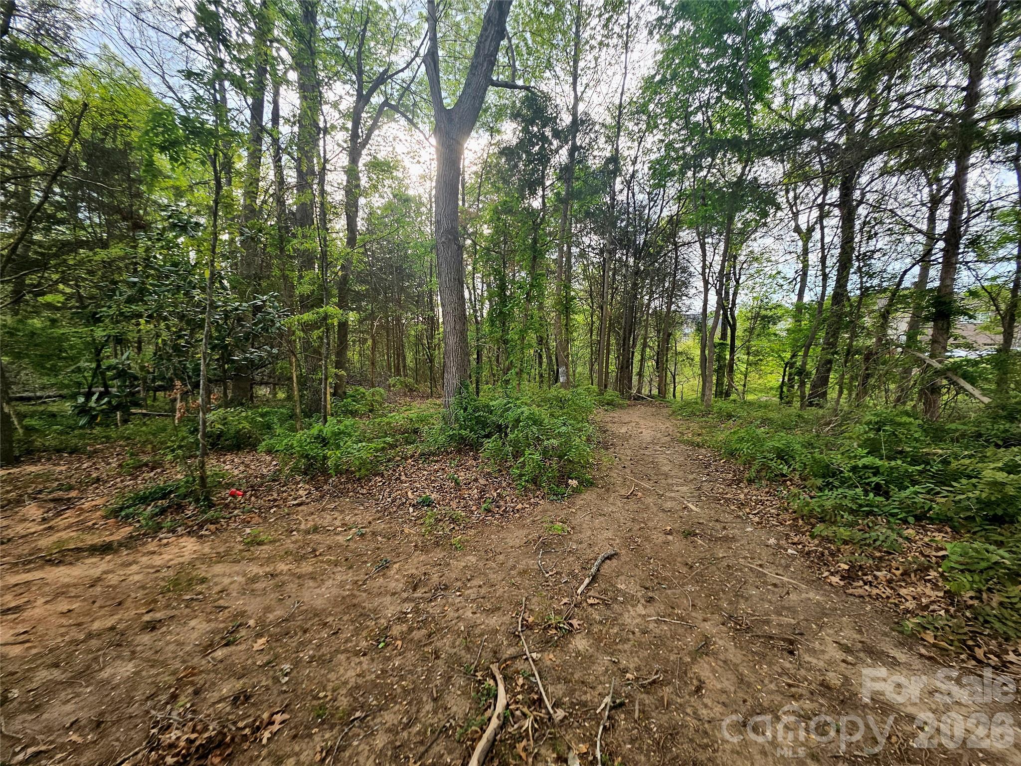 1110 Clark Hill Drive Property Photo 6
