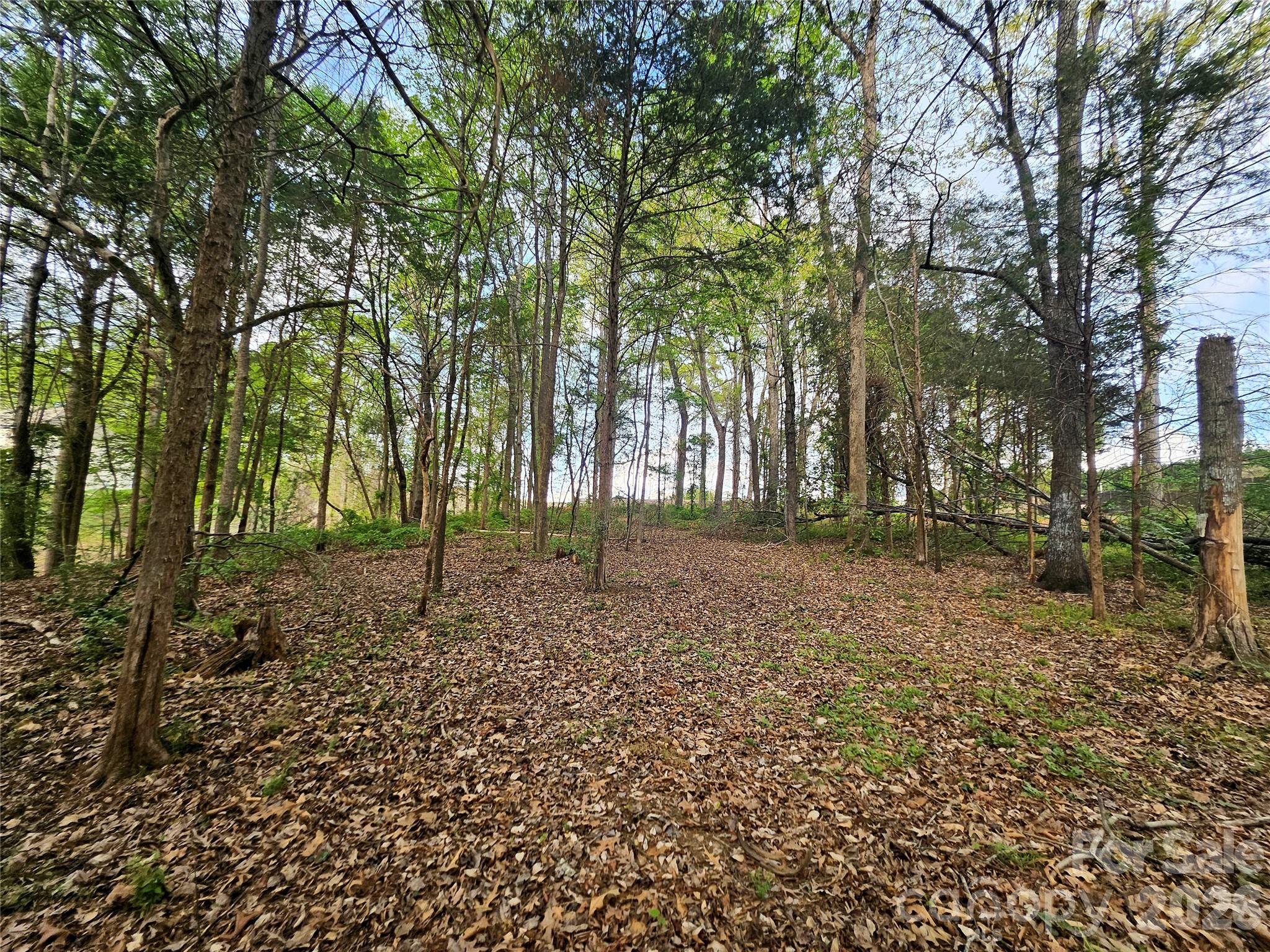 1110 Clark Hill Drive Property Photo 7