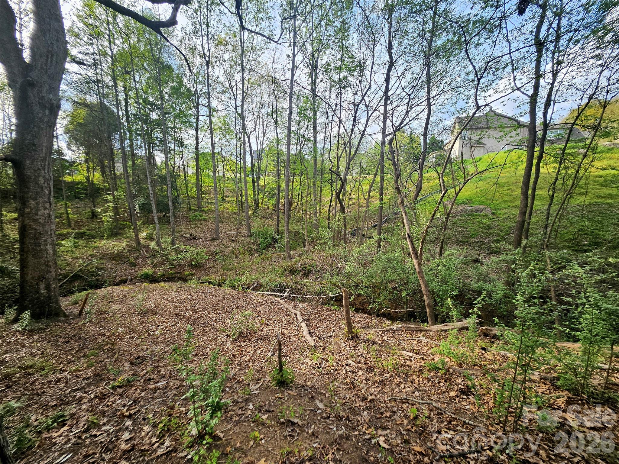 1110 Clark Hill Drive Property Photo 8