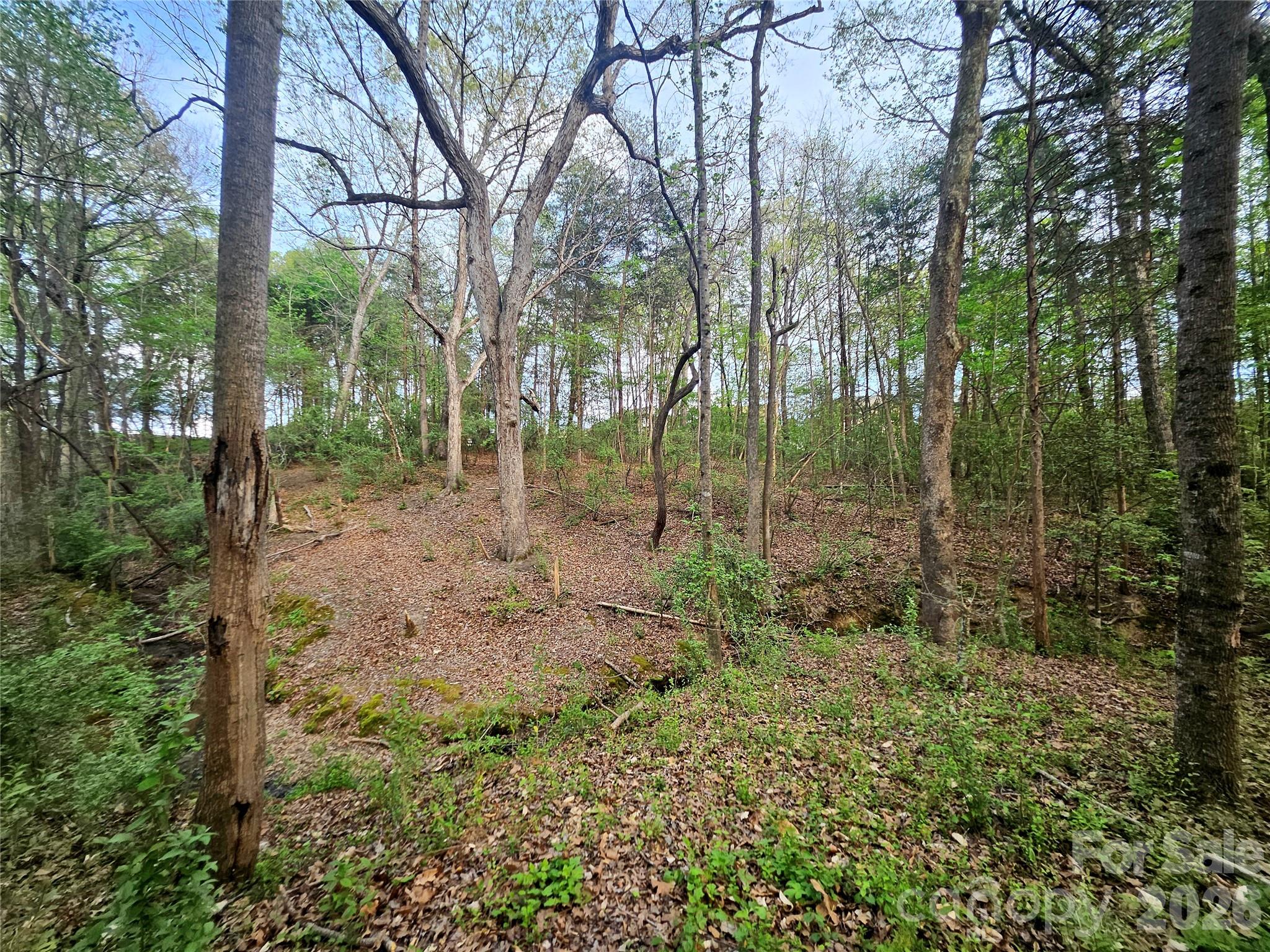 1110 Clark Hill Drive Property Photo 10