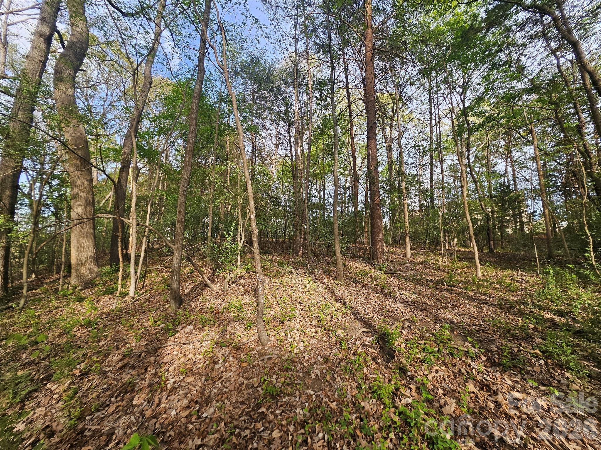 1110 Clark Hill Drive Property Photo 11