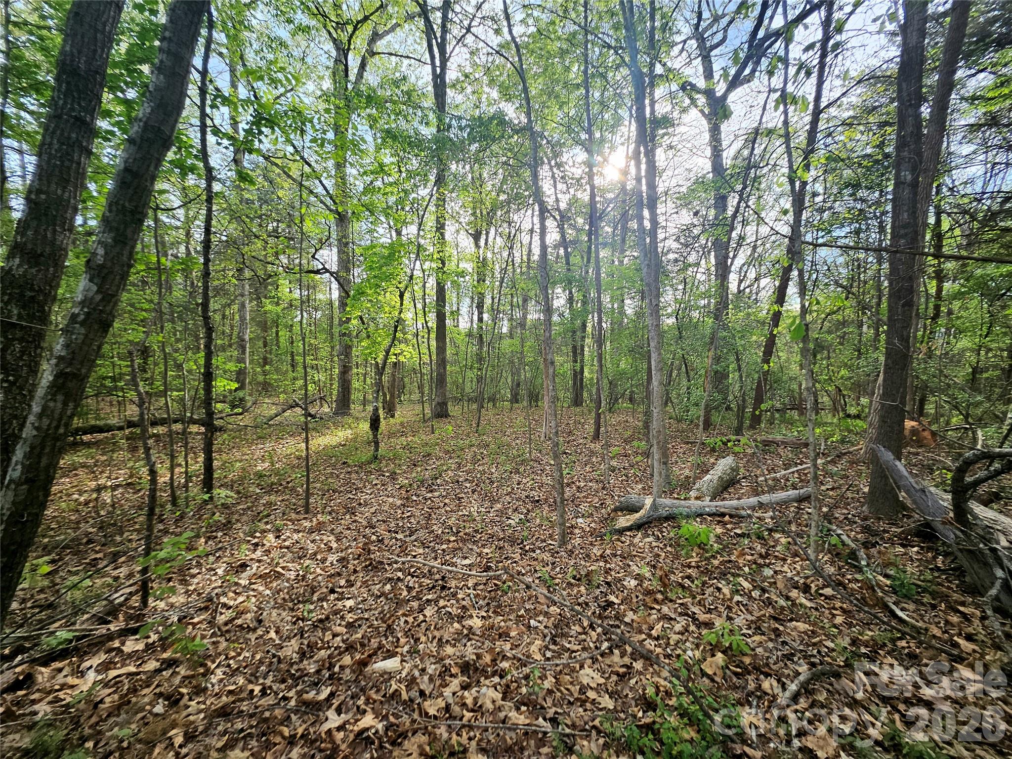 1110 Clark Hill Drive Property Photo 12