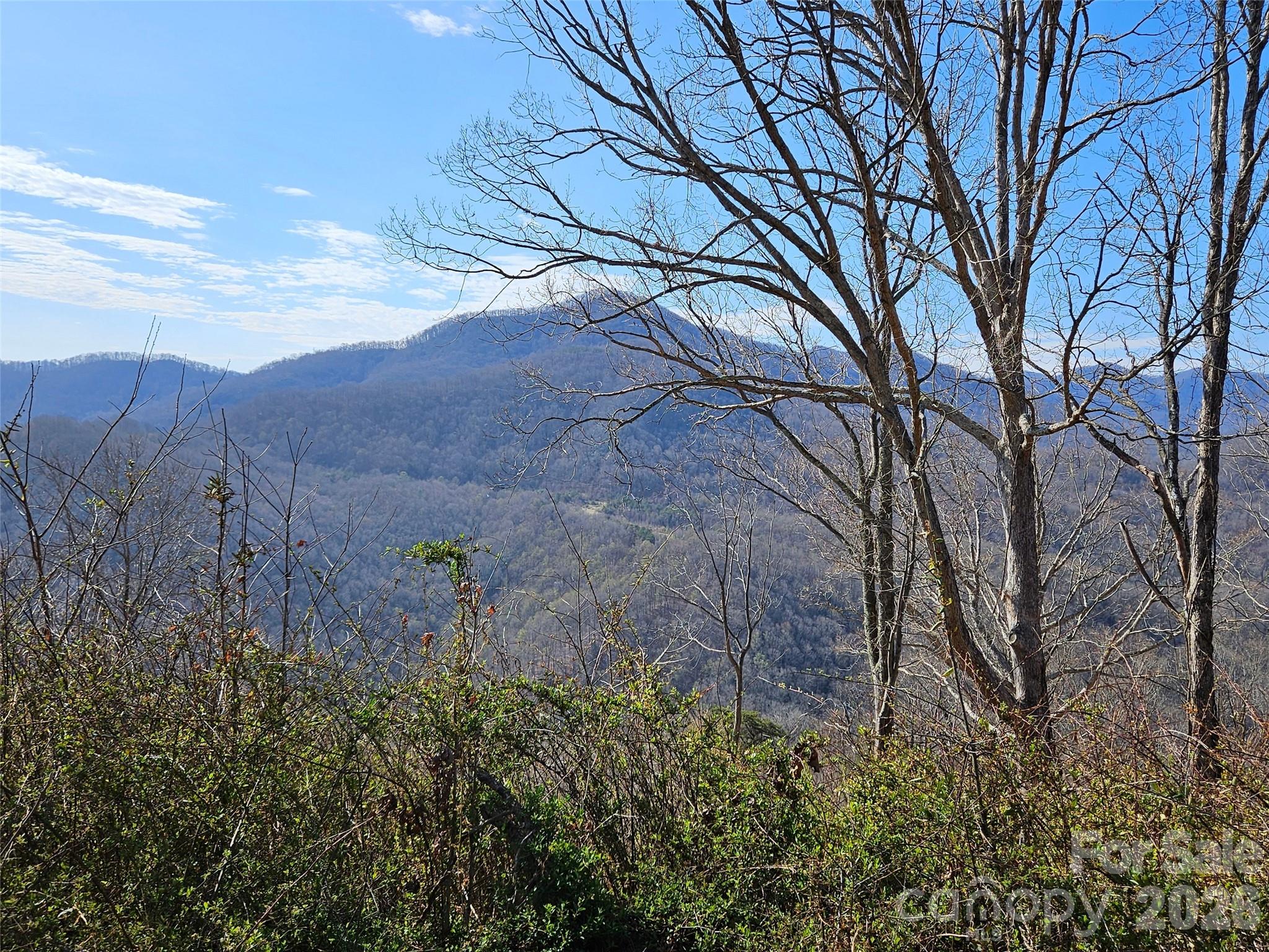 989 High Rock View Drive Property Photo 3