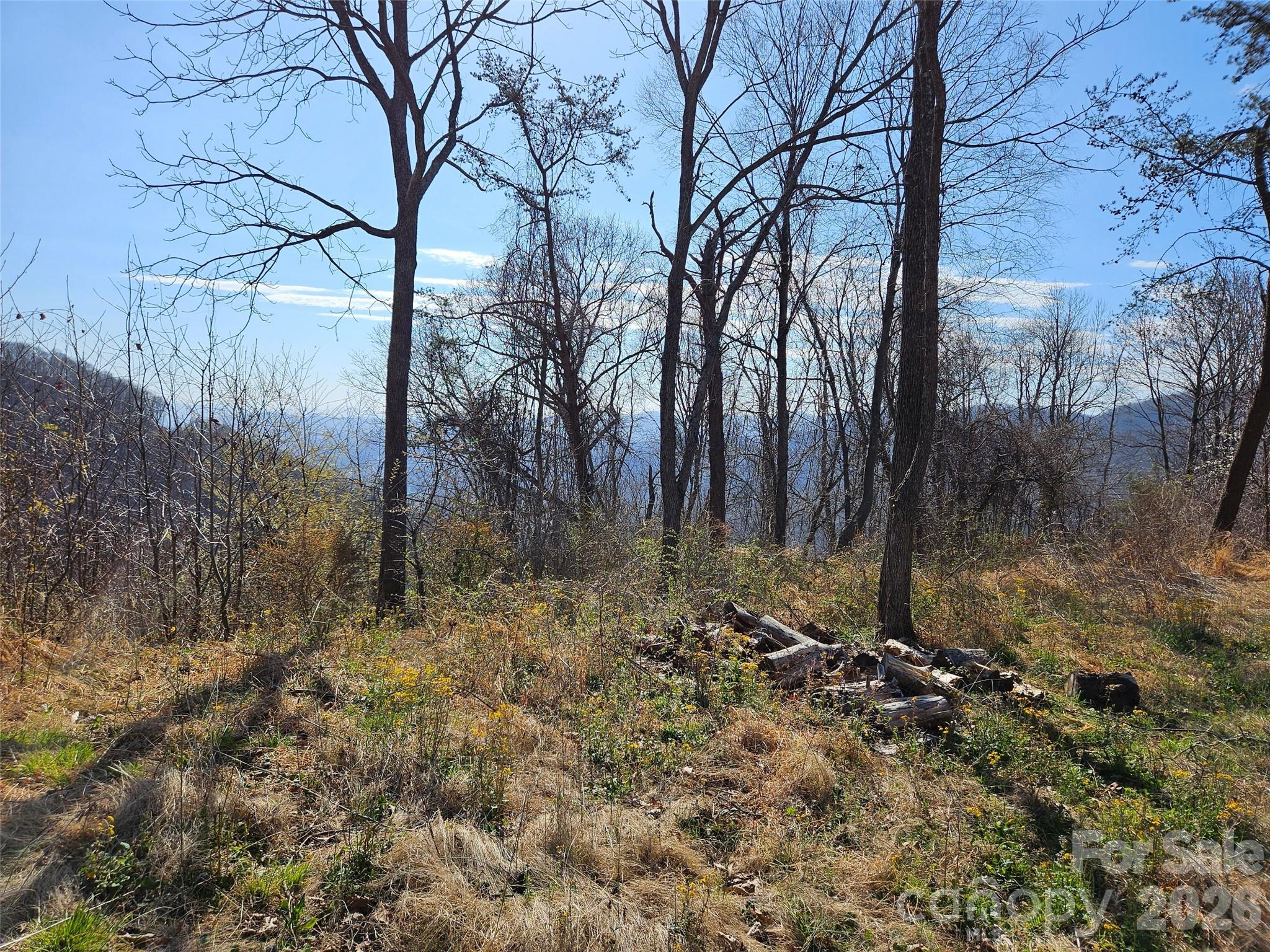 989 High Rock View Drive Property Photo 5