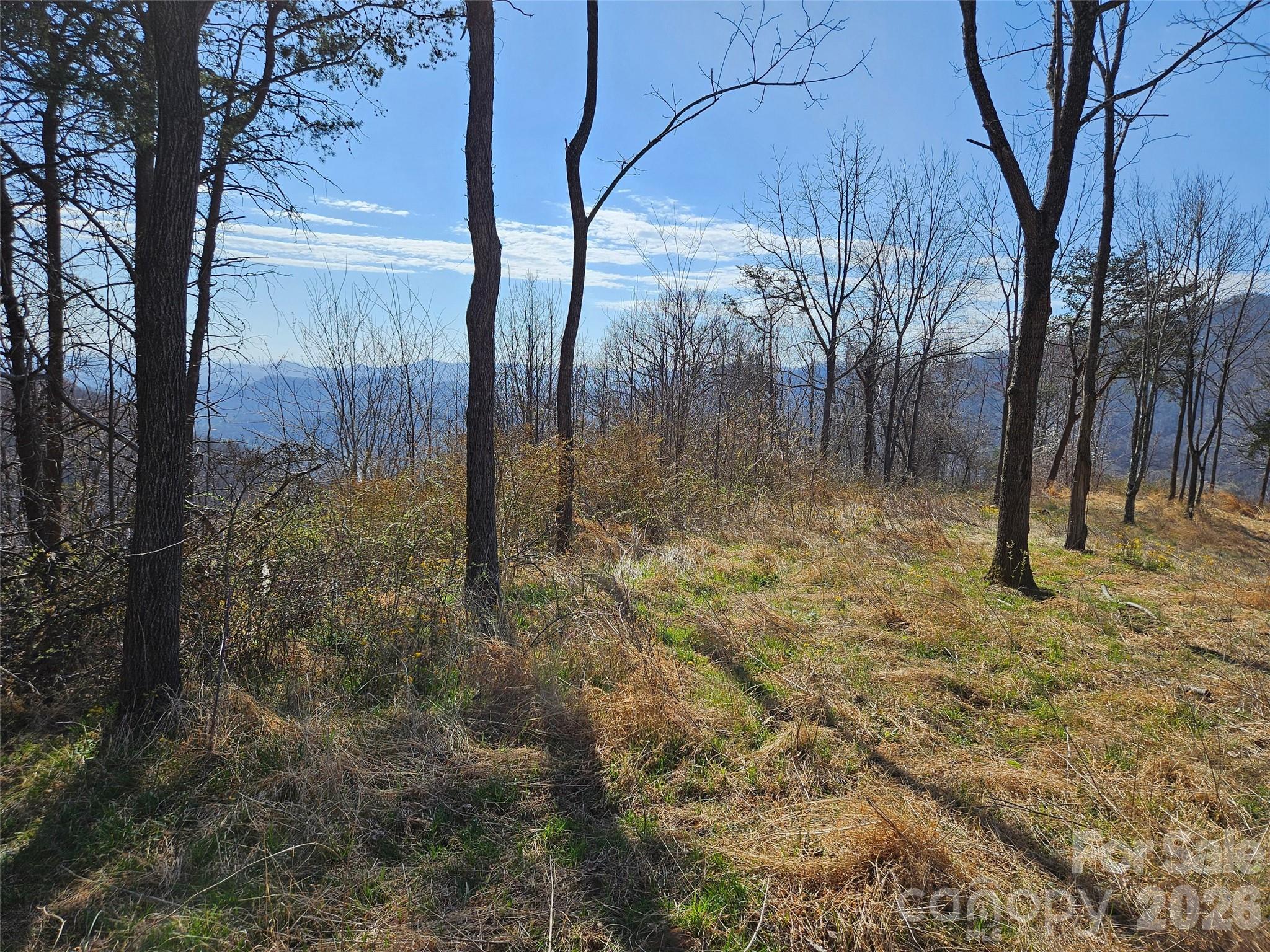 989 High Rock View Drive Property Photo 7