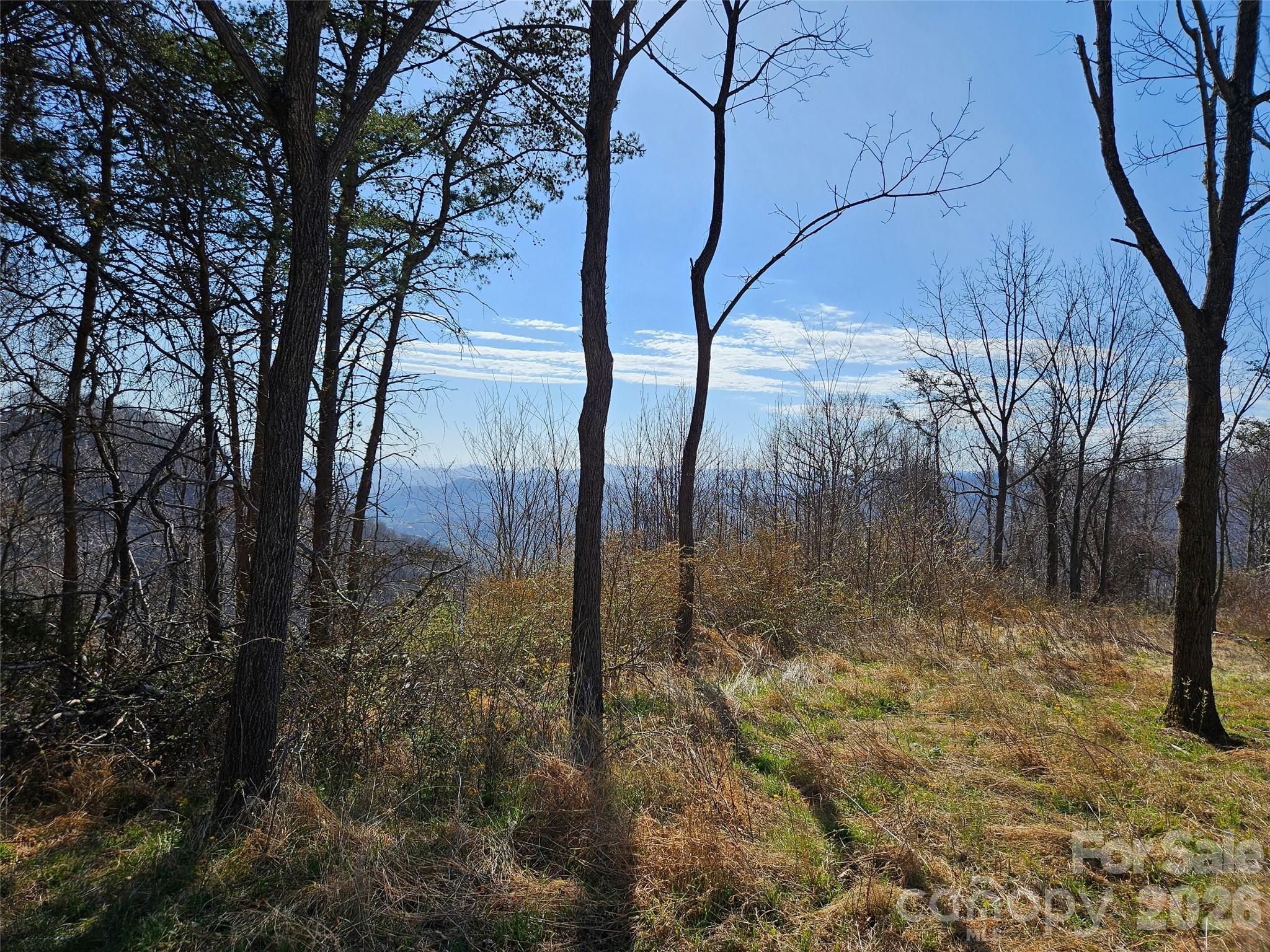 989 High Rock View Drive Property Photo 8