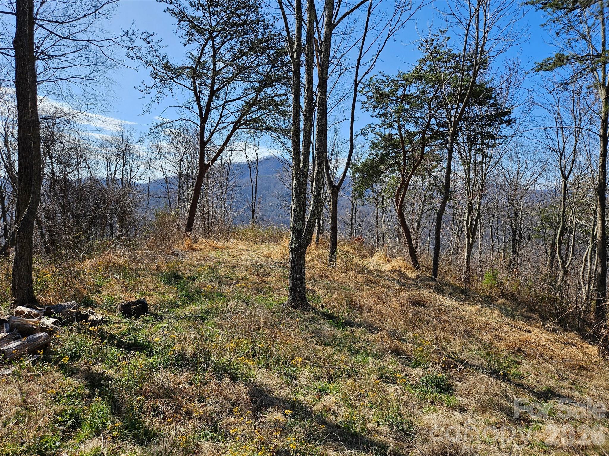 989 High Rock View Drive Property Photo 9
