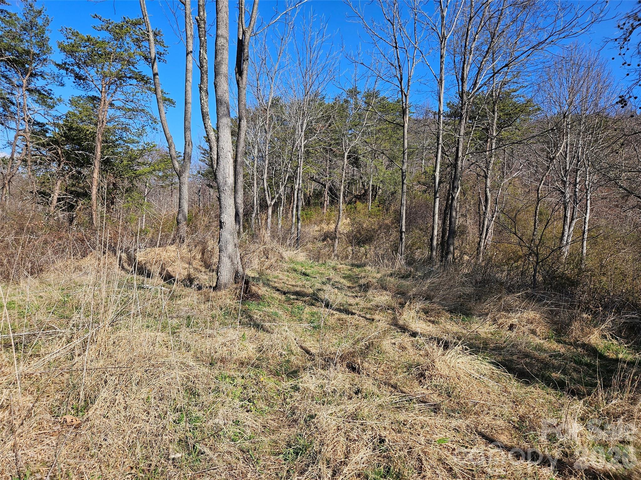 989 High Rock View Drive Property Photo 10
