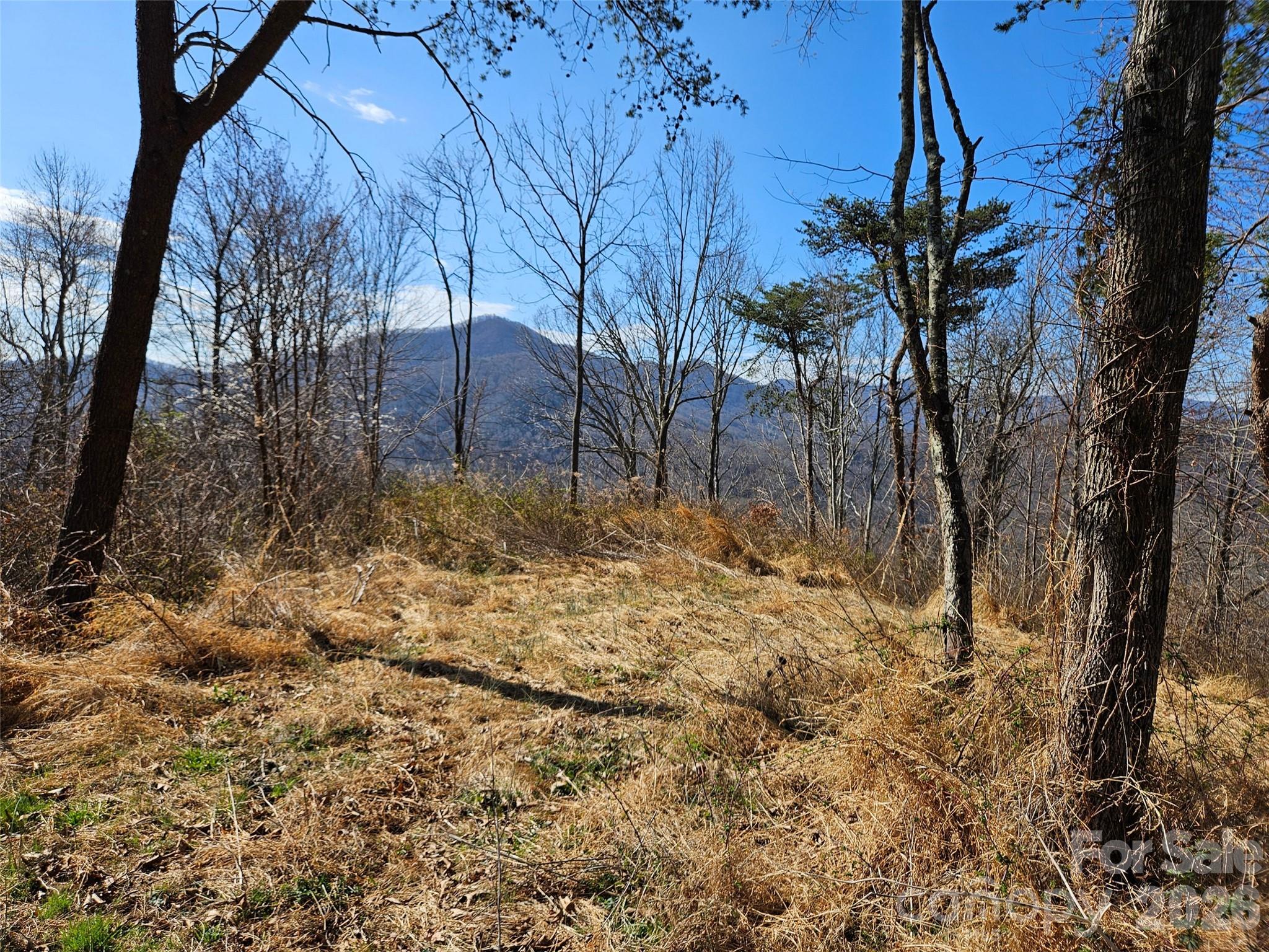 989 High Rock View Drive Property Photo 12