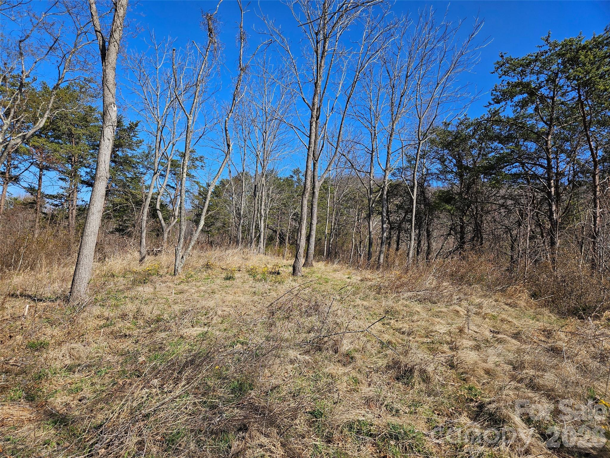 989 High Rock View Drive Property Photo 13