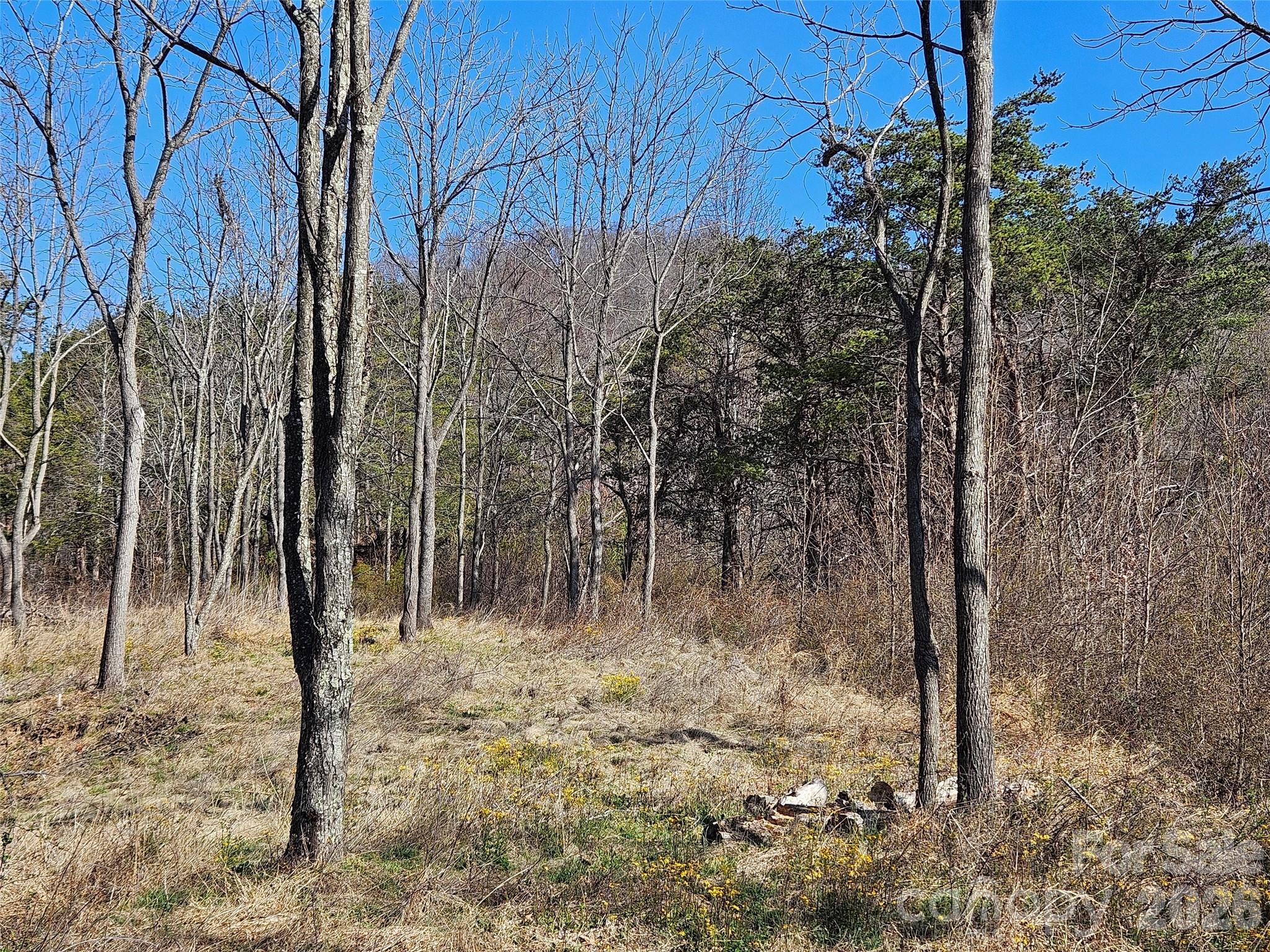 989 High Rock View Drive Property Photo 14