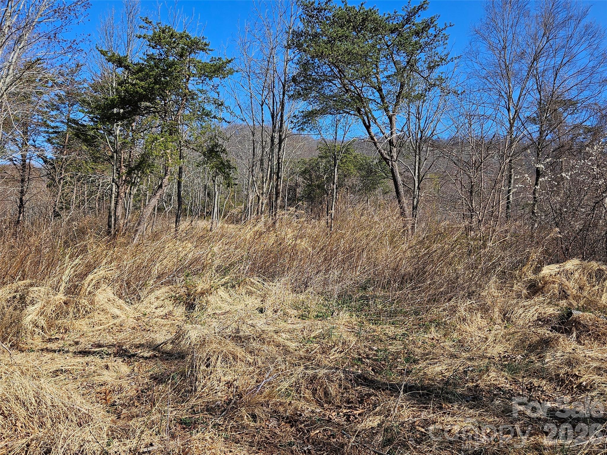 989 High Rock View Drive Property Photo 15