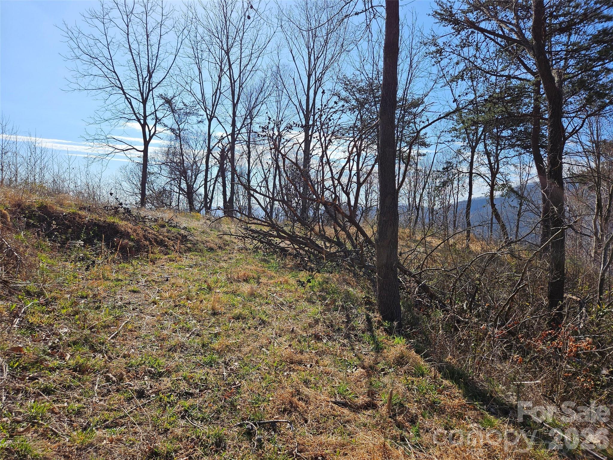989 High Rock View Drive Property Photo 17