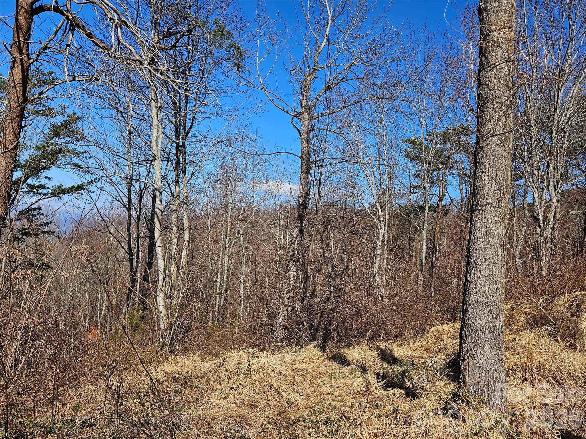 989 High Rock View Drive Property Photo 19