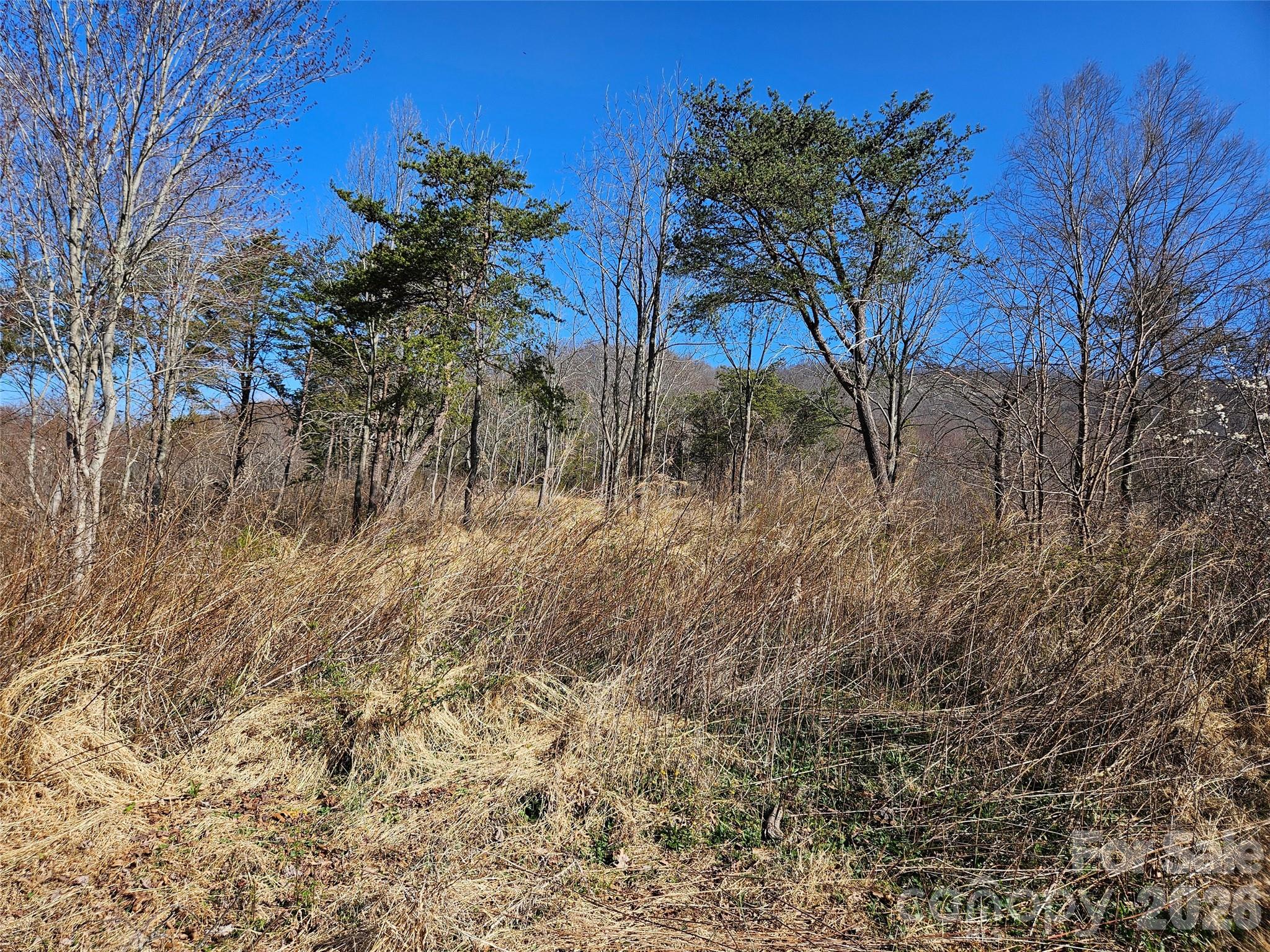 989 High Rock View Drive Property Photo 23
