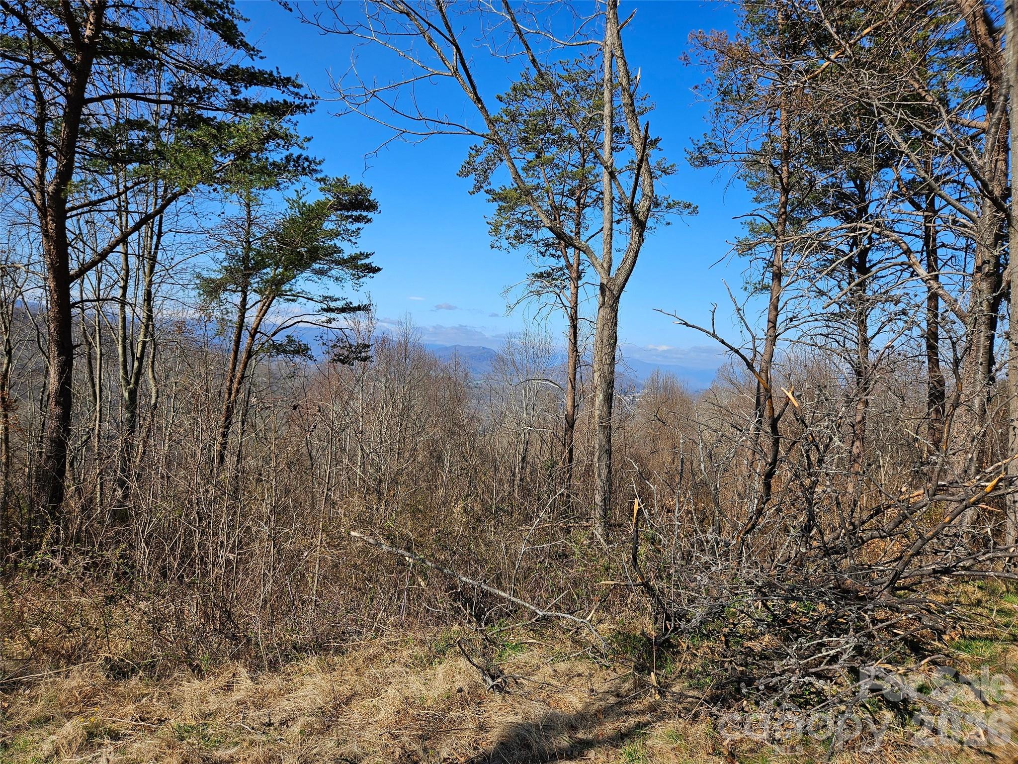 989 High Rock View Drive Property Photo 24