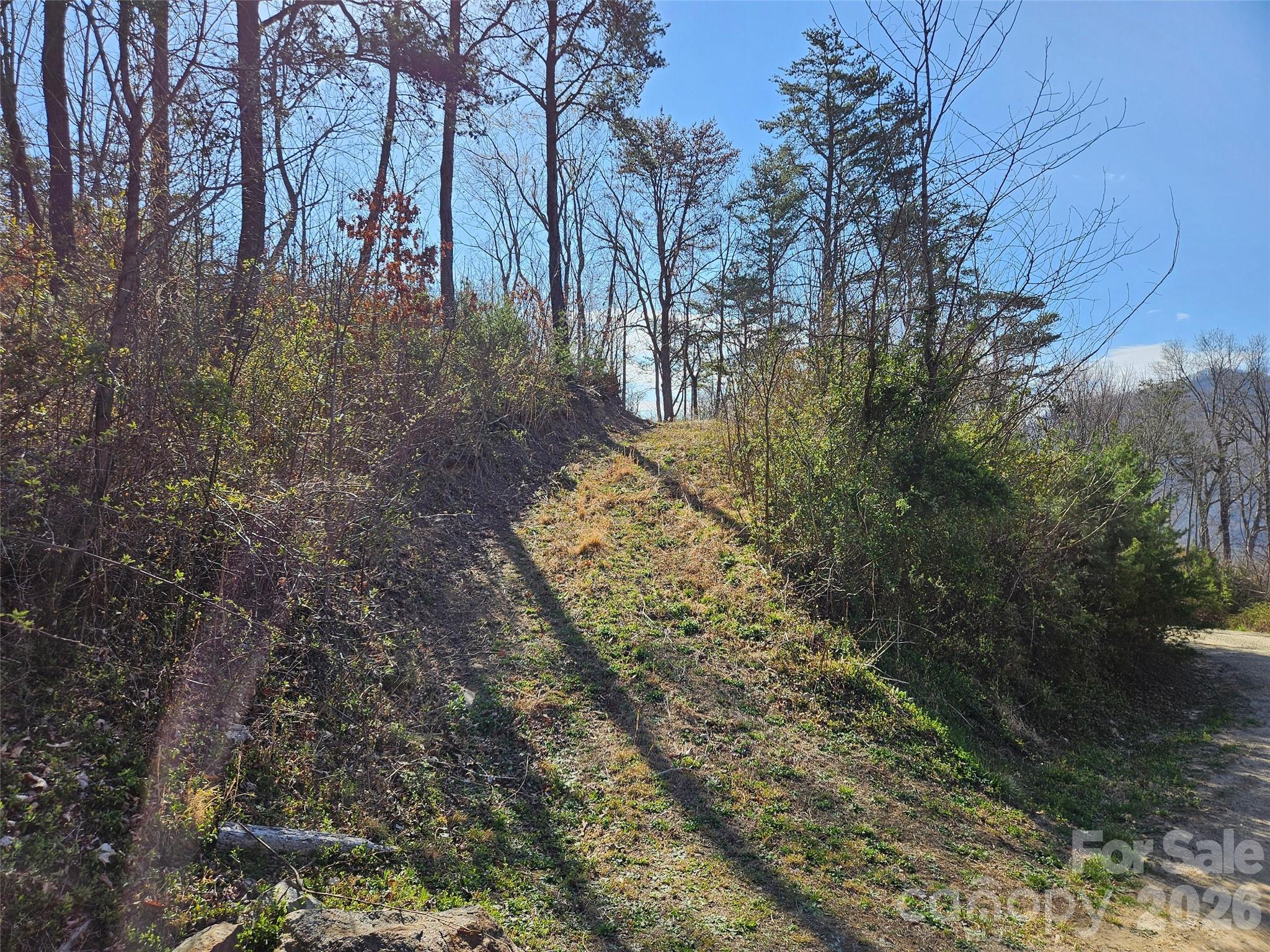989 High Rock View Drive Property Photo 26
