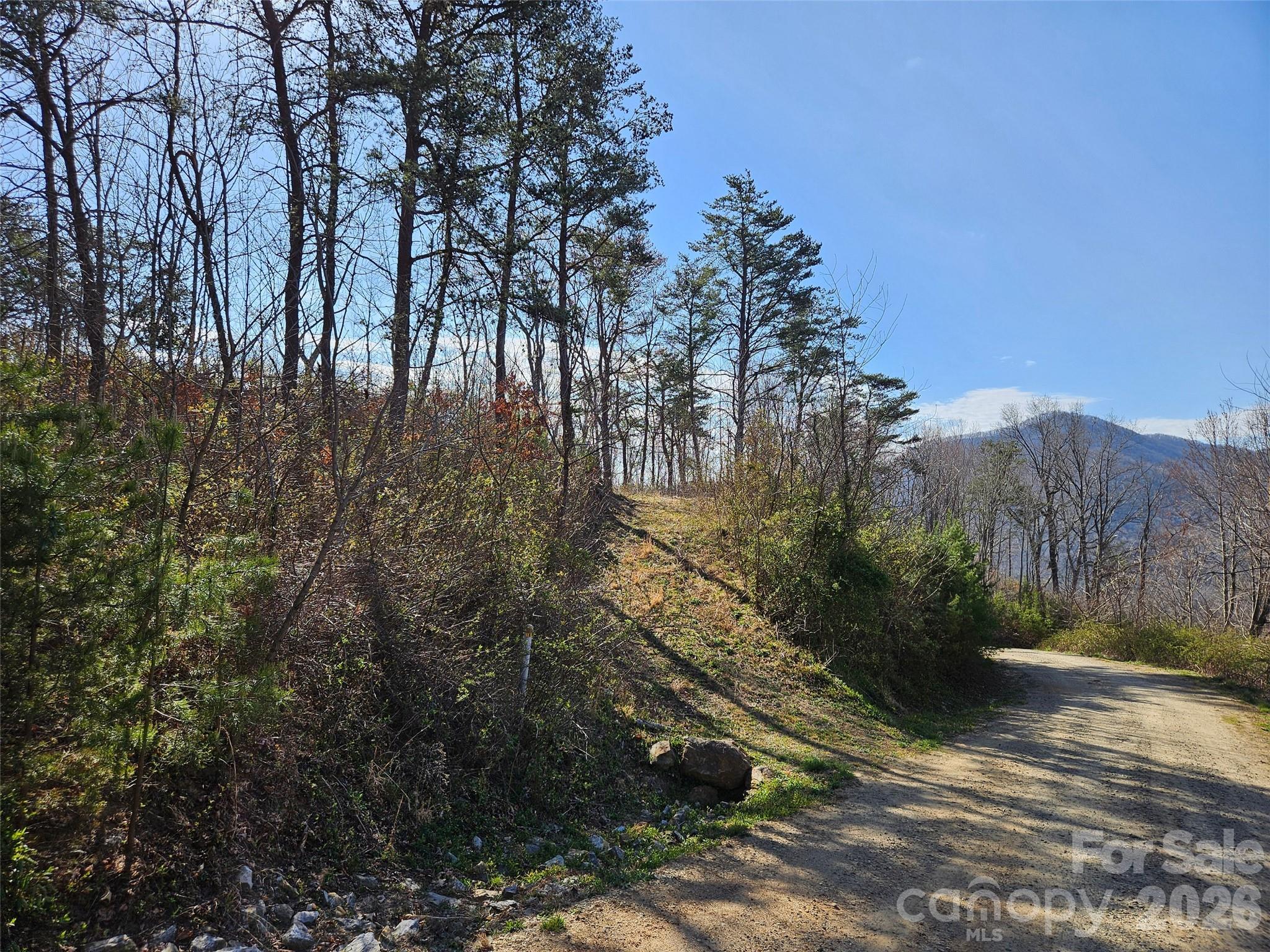 989 High Rock View Drive Property Photo 27