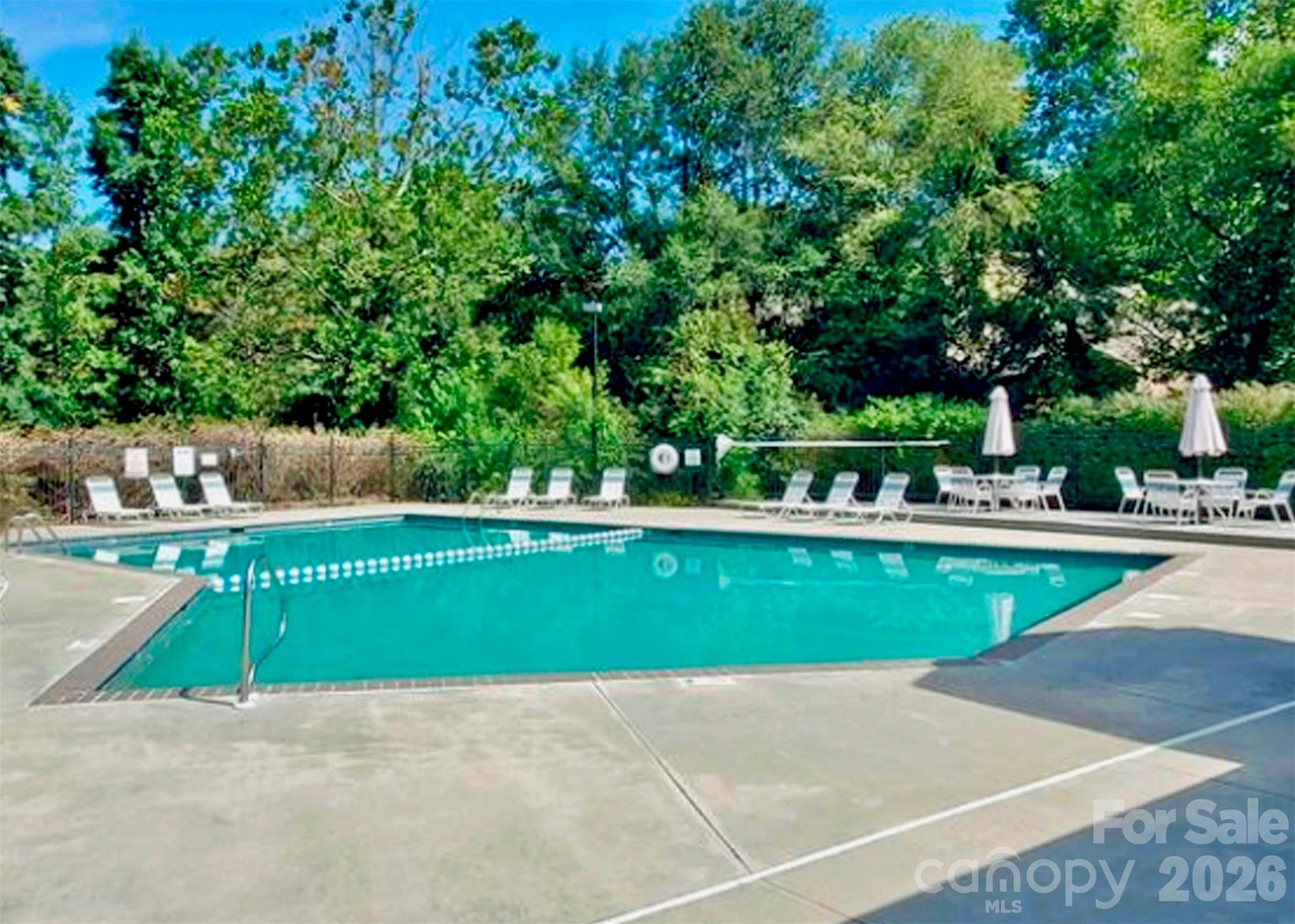 6 Willow Tree Run Property Photo 25