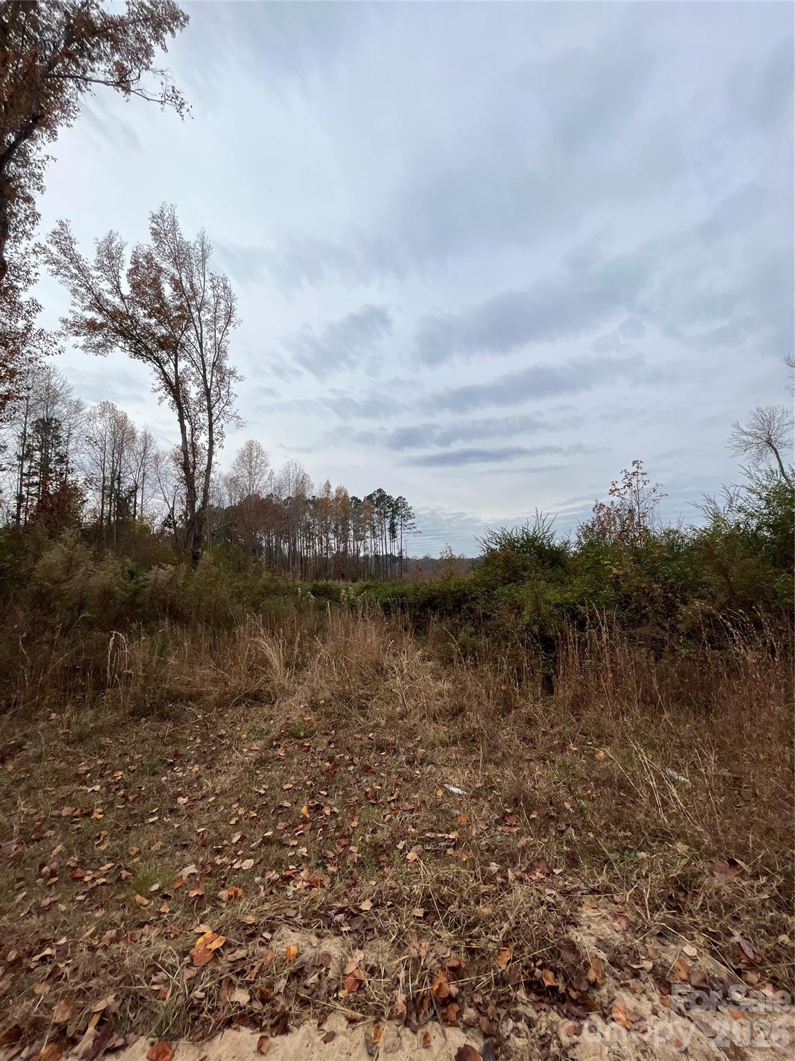 Tbd Wire 2 Road Property Photo 2