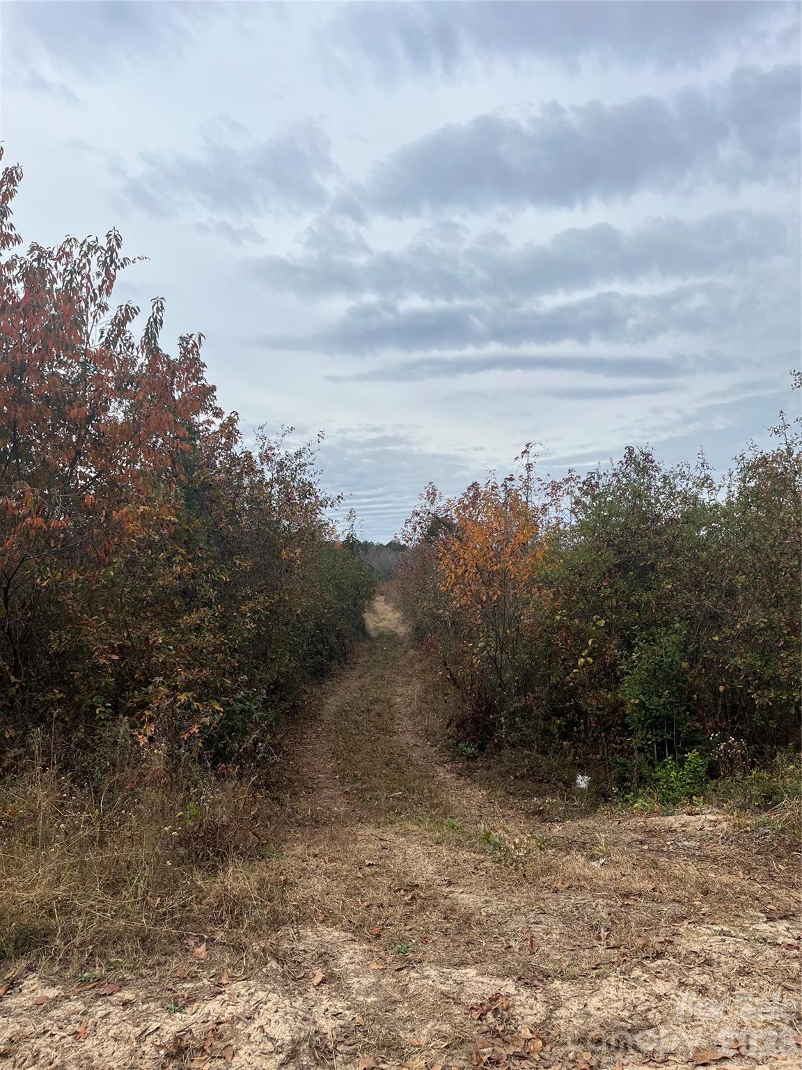 Tbd Wire 2 Road Property Photo 3