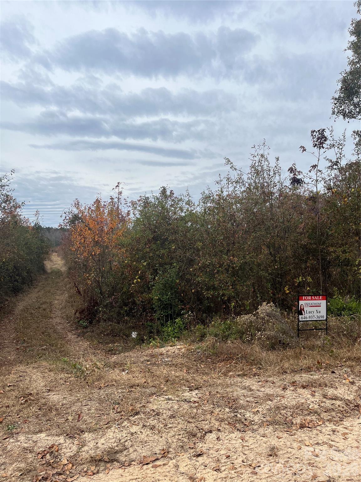 Tbd Wire 2 Road Property Photo 4