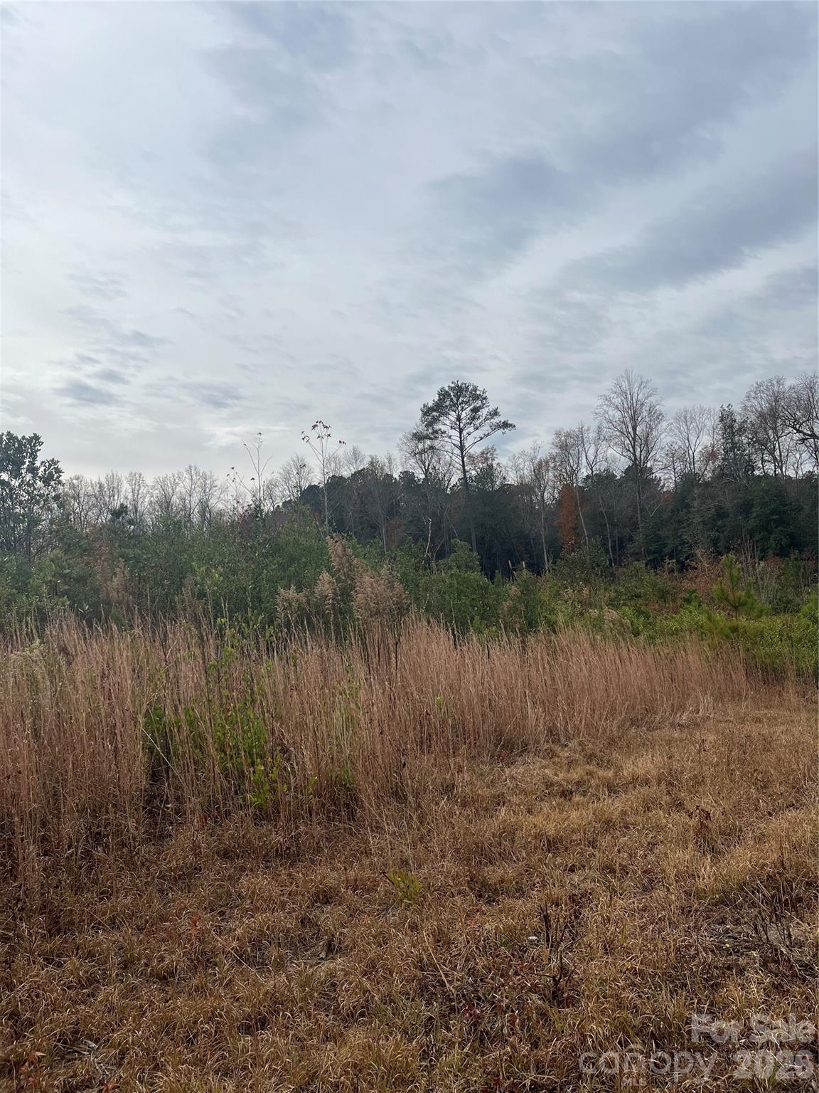 Tbd Wire 2 Road Property Photo 6