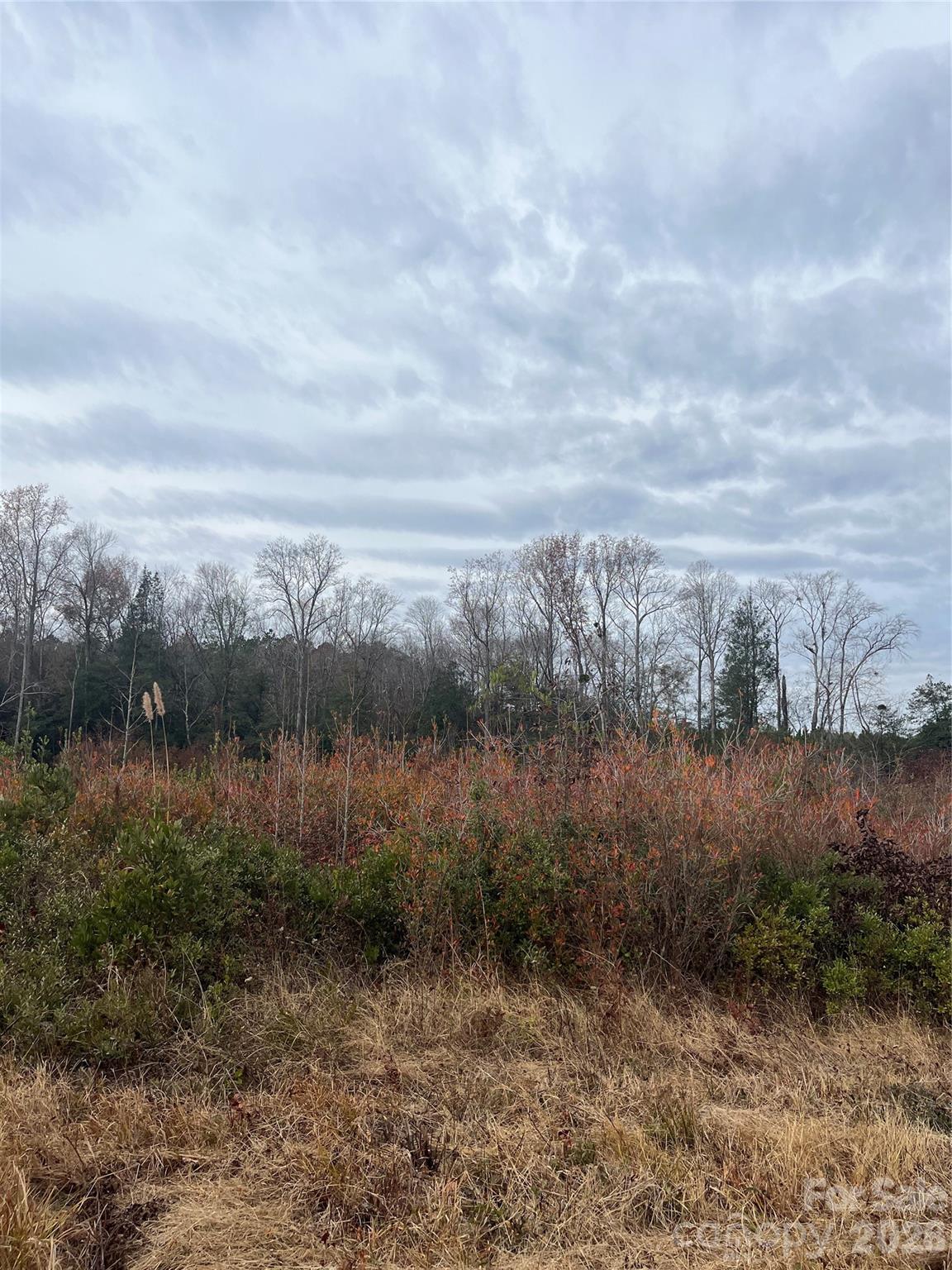 Tbd Wire 2 Road Property Photo 7