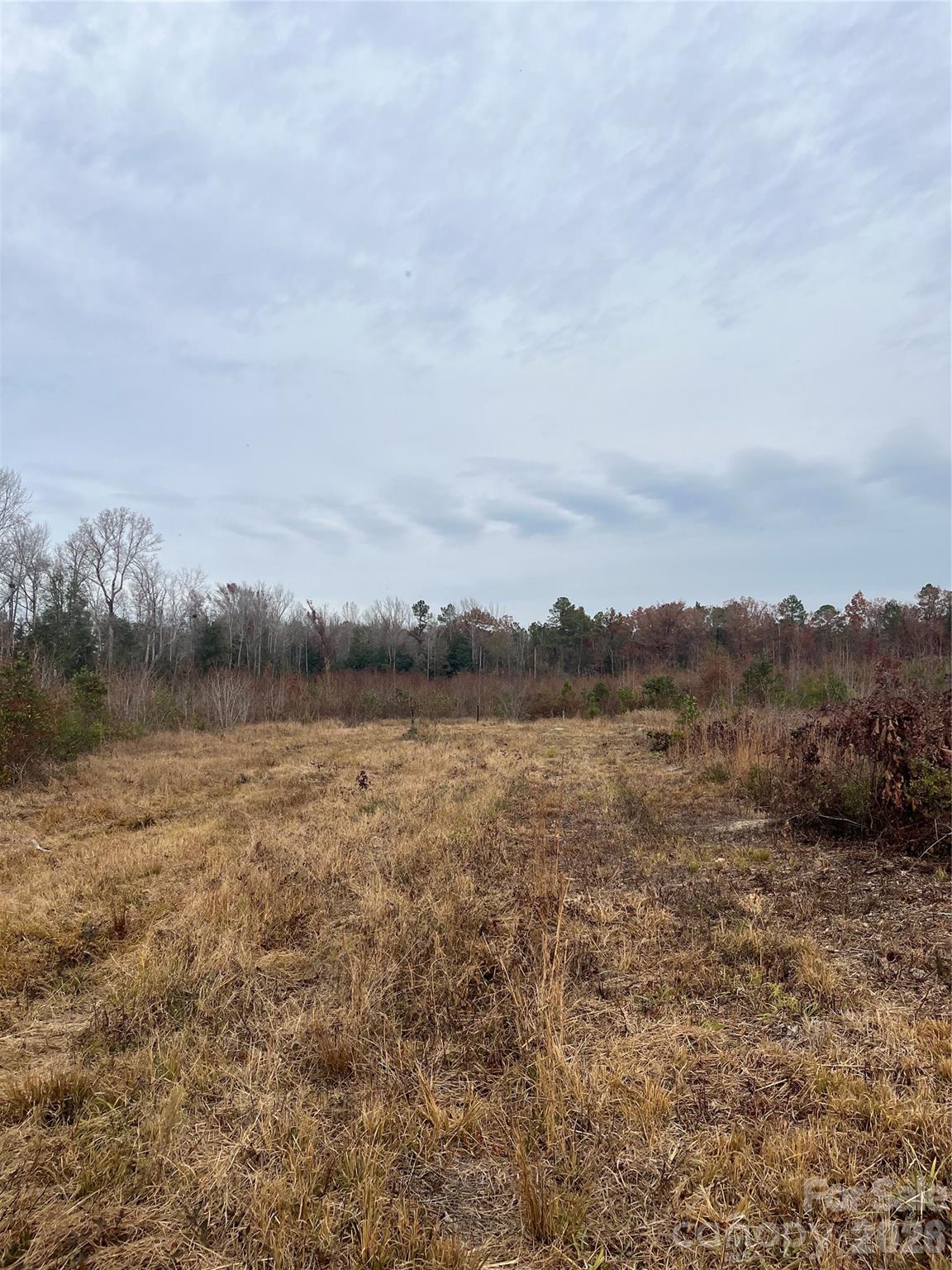 Tbd Wire 2 Road Property Photo 8