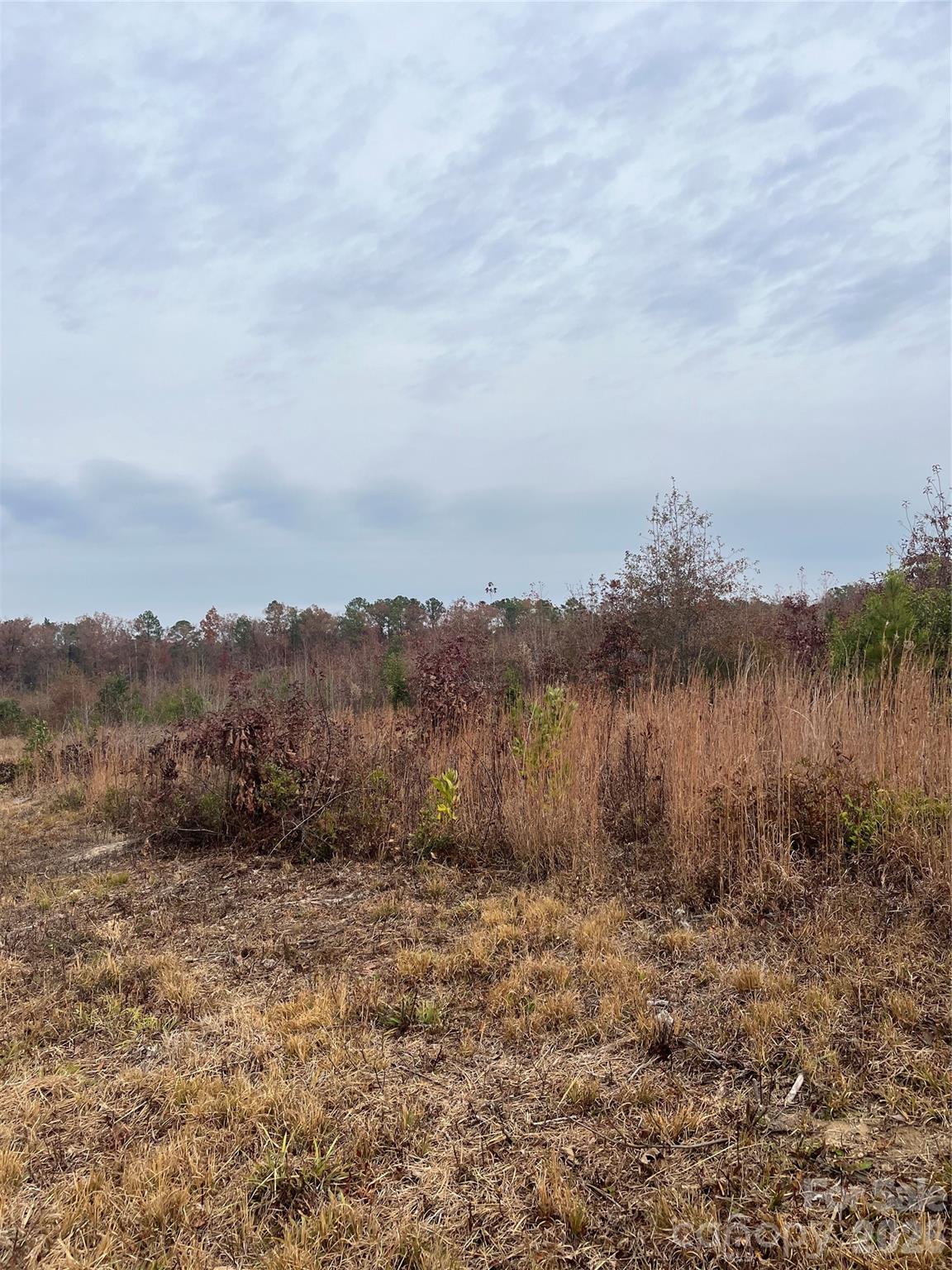 Tbd Wire 2 Road Property Photo 9
