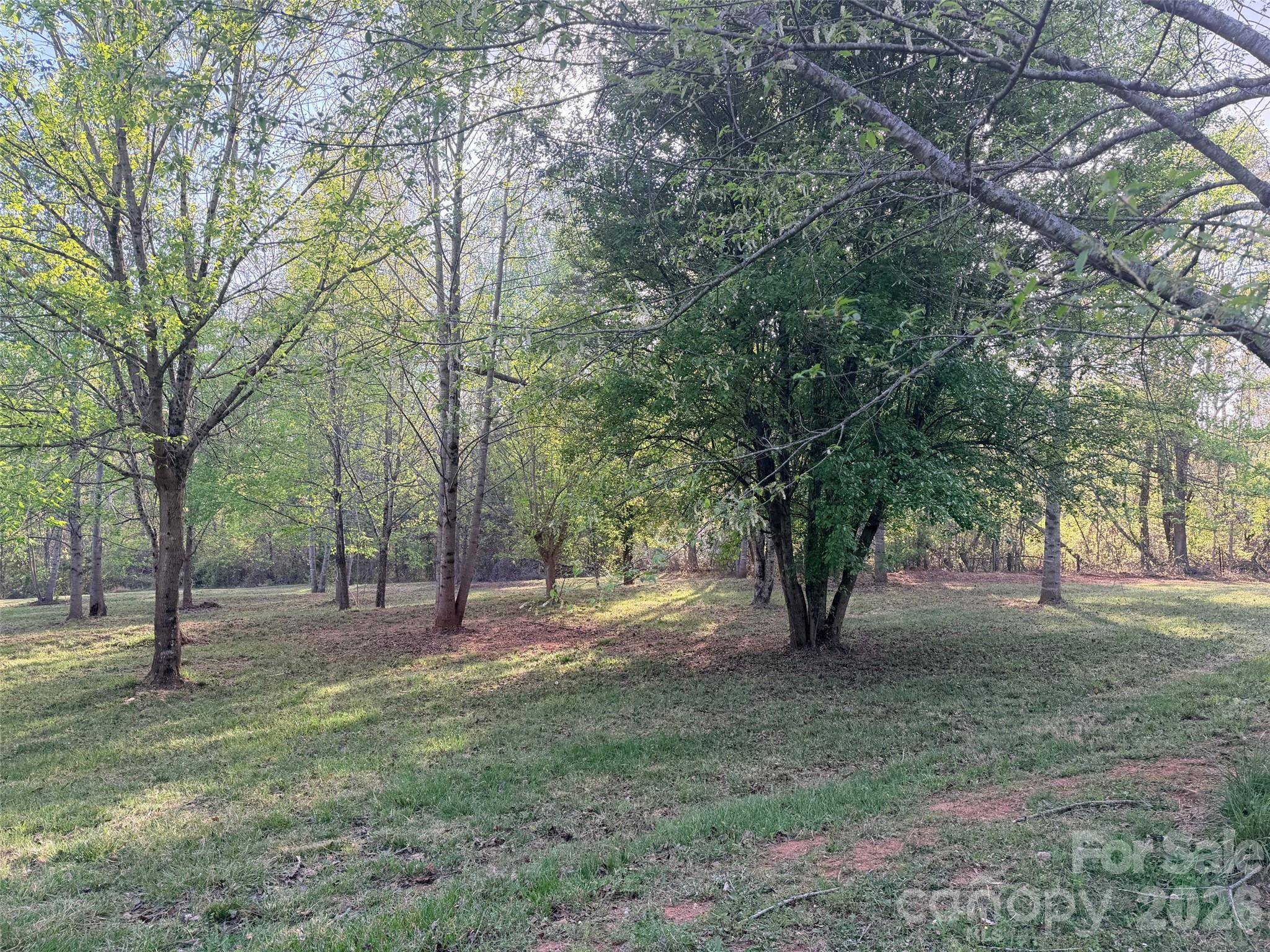 0 Old Stonecutter Road Property Photo 3