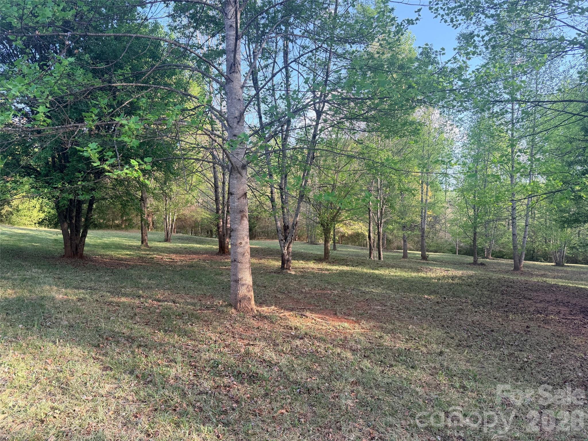 0 Old Stonecutter Road Property Photo 4