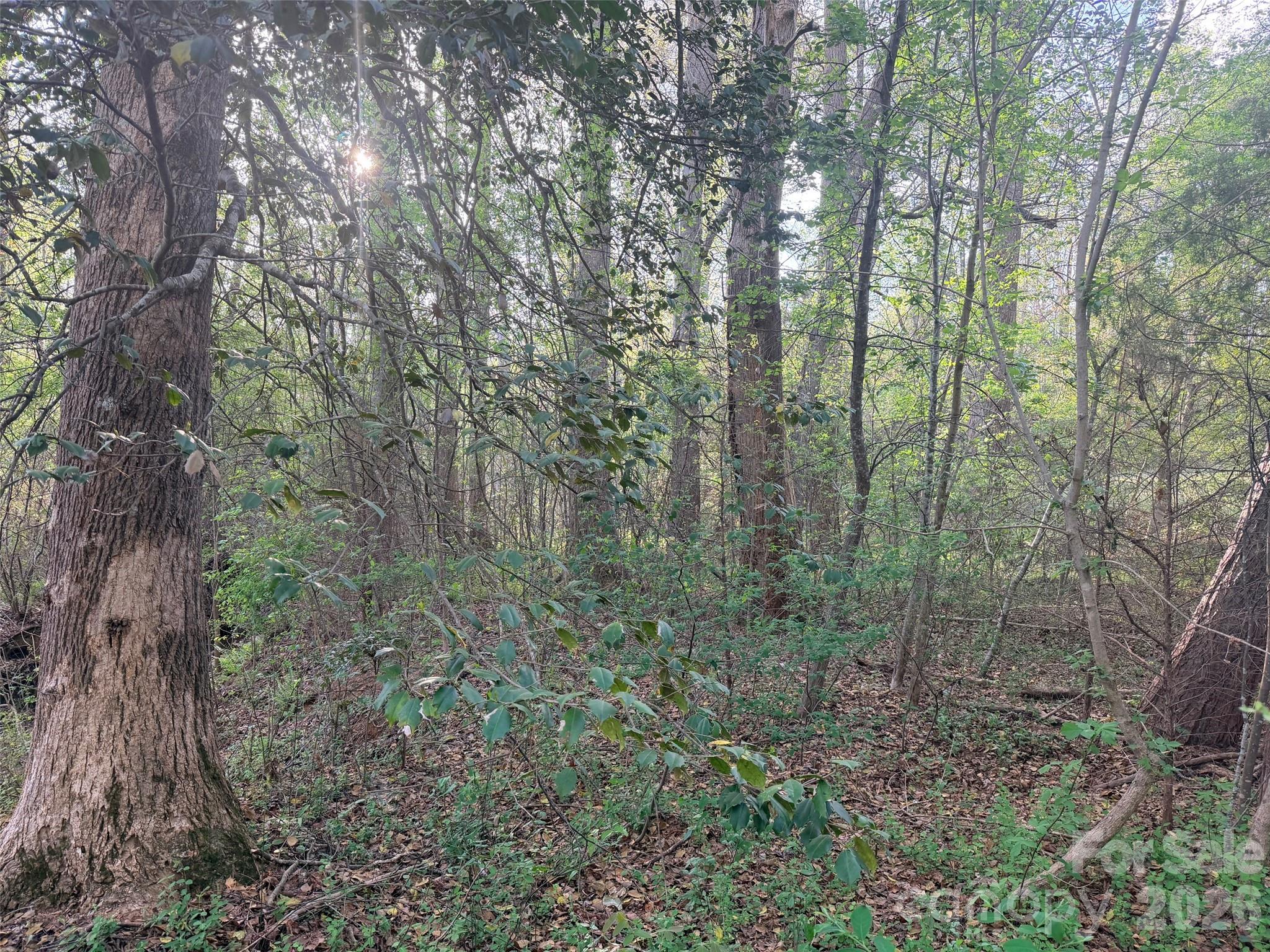 0 Old Stonecutter Road Property Photo 7