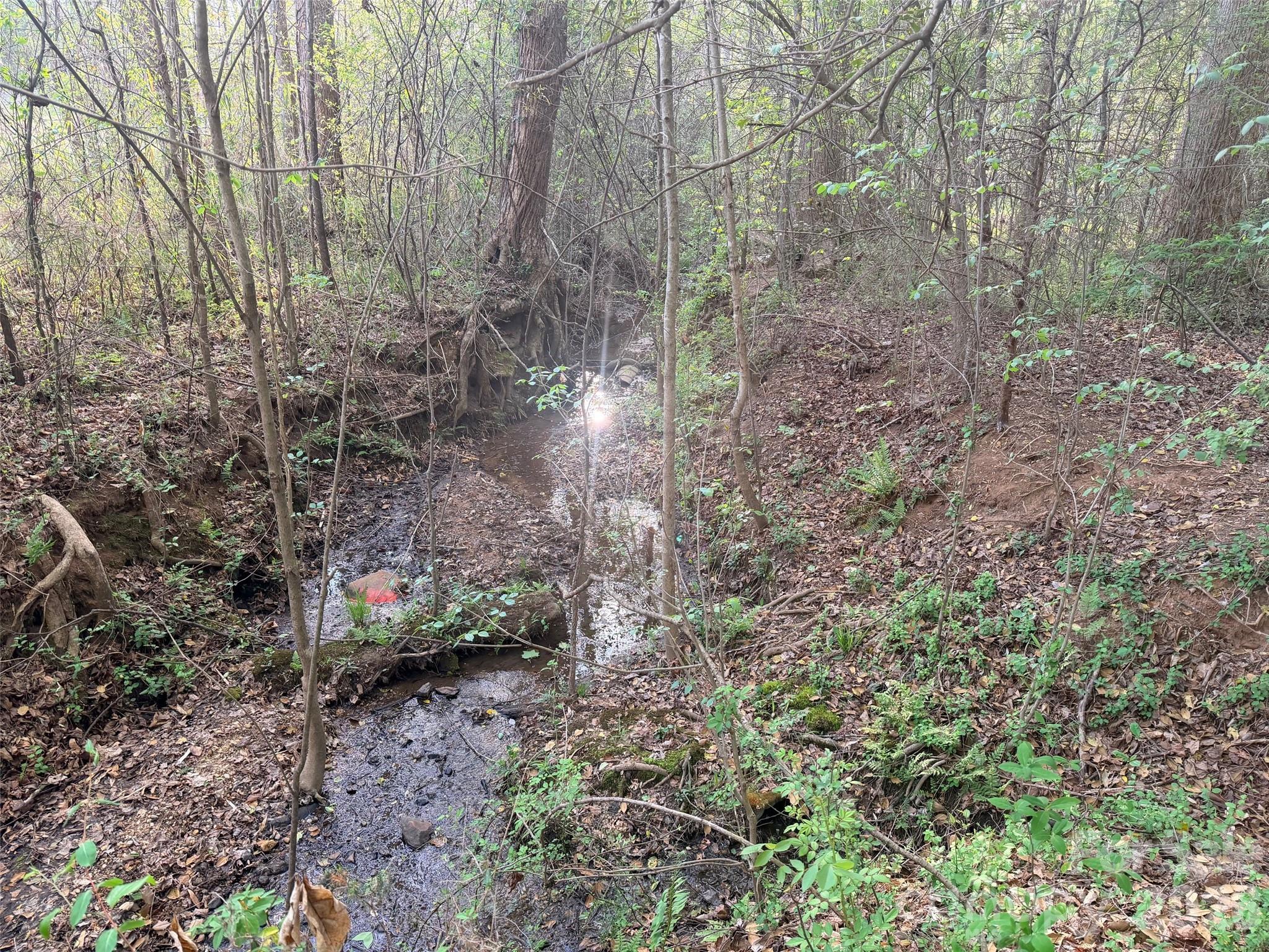 0 Old Stonecutter Road Property Photo 8
