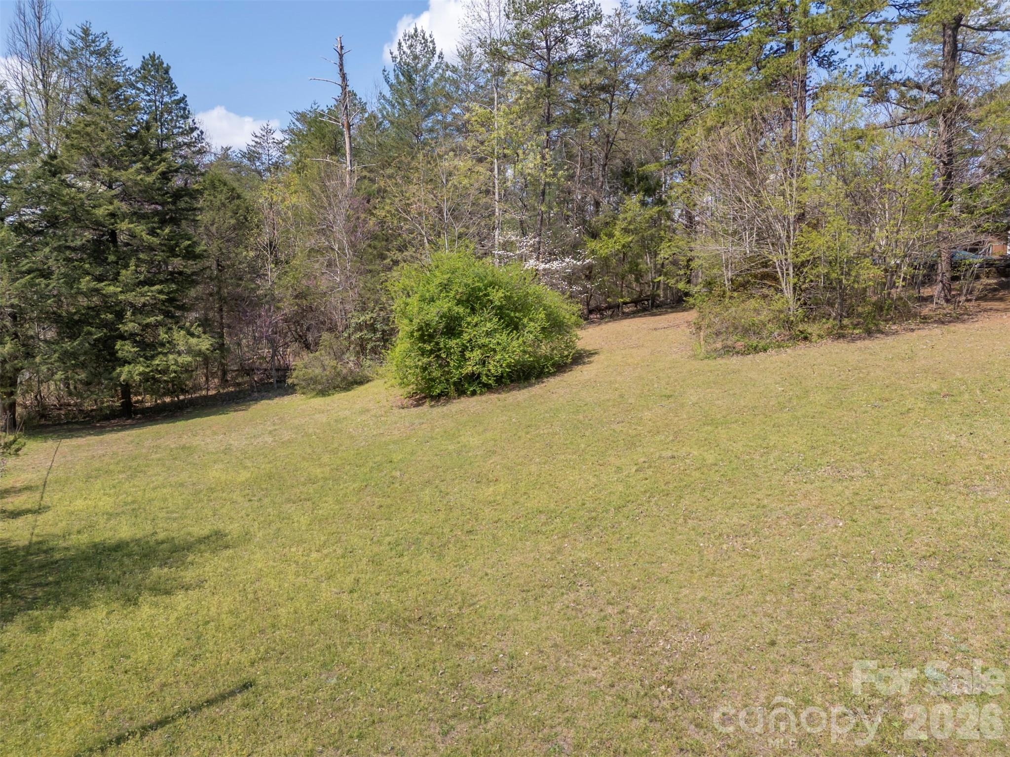 101 Cove Creek Drive Property Photo 39