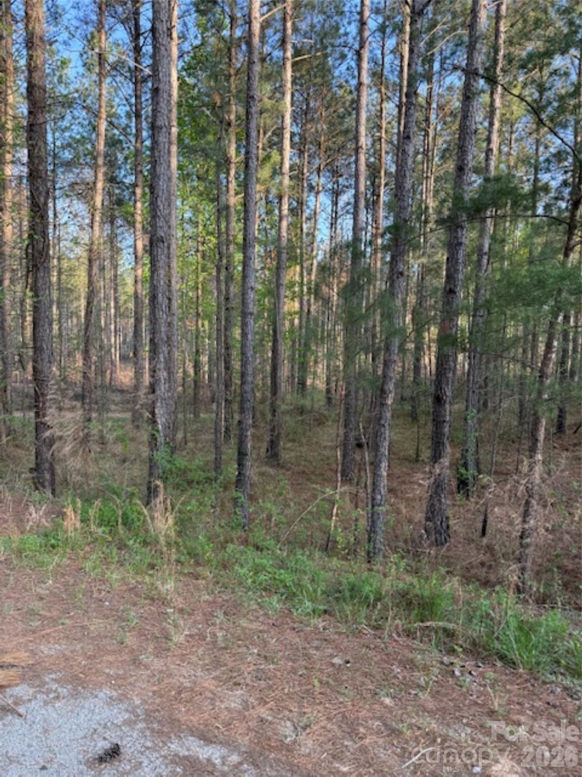 00 Clark Mountain Road Property Photo 3