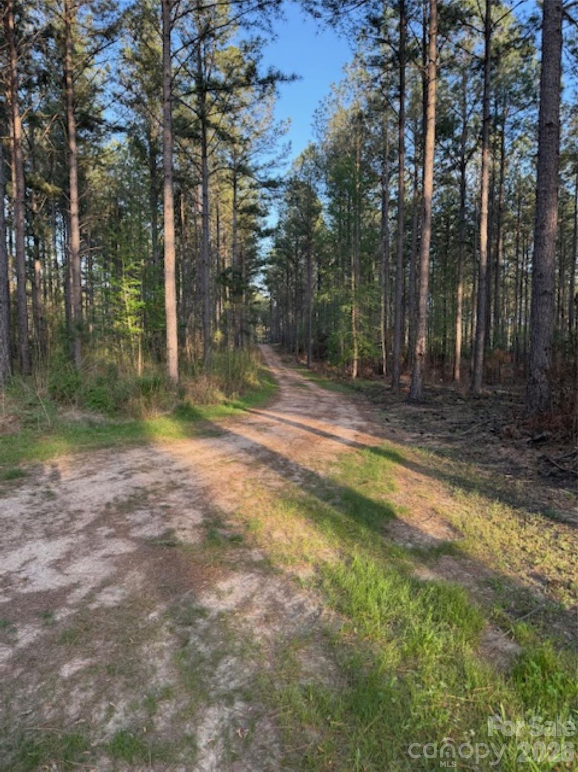 00 Clark Mountain Road Property Photo 6