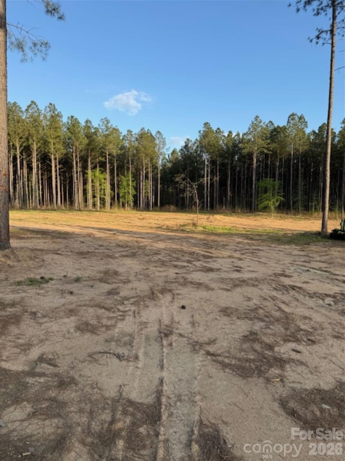00 Clark Mountain Road Property Photo 7