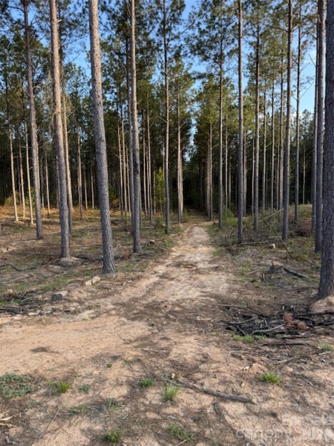 00 Clark Mountain Road Property Photo 10
