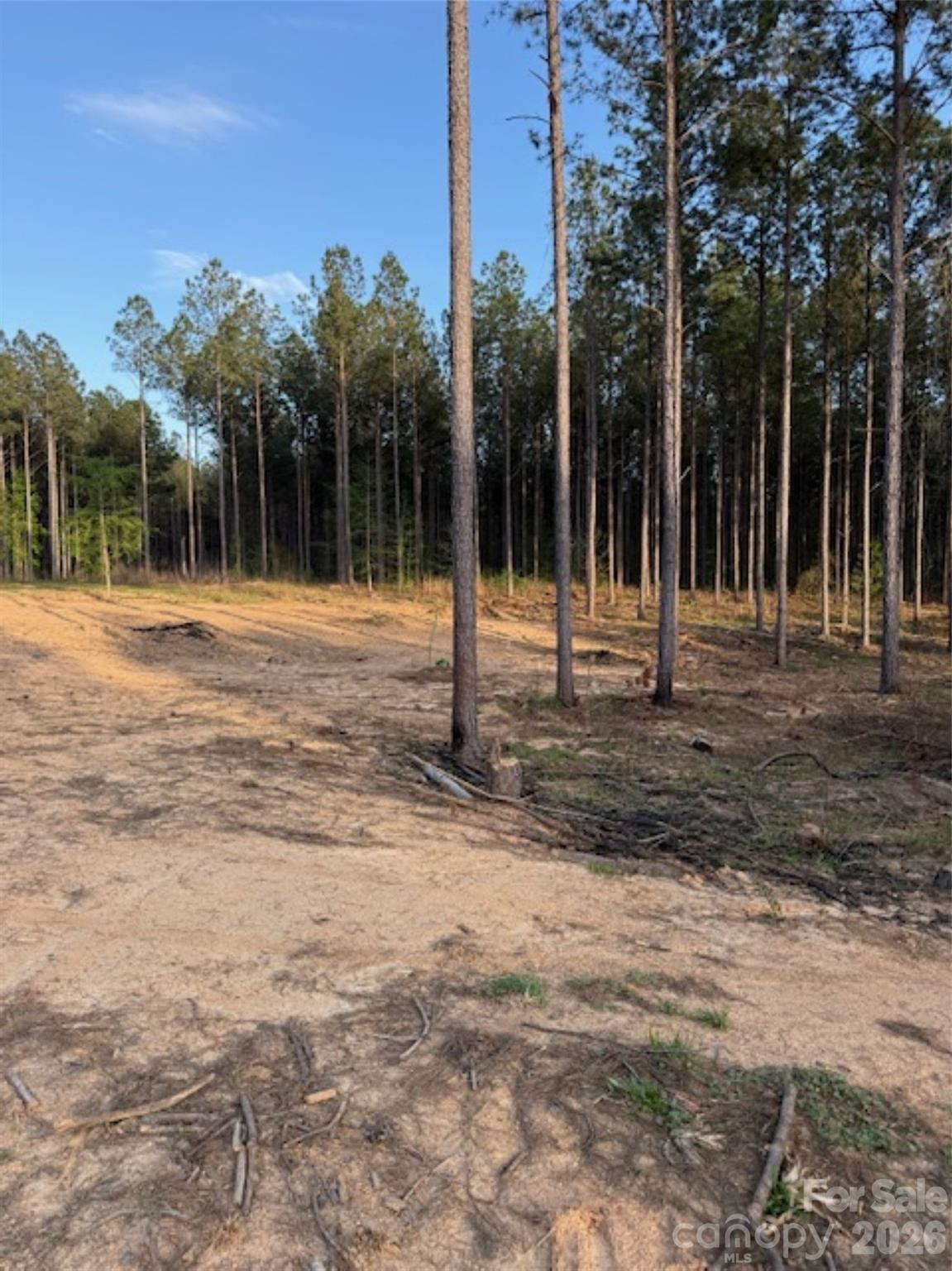 00 Clark Mountain Road Property Photo 11
