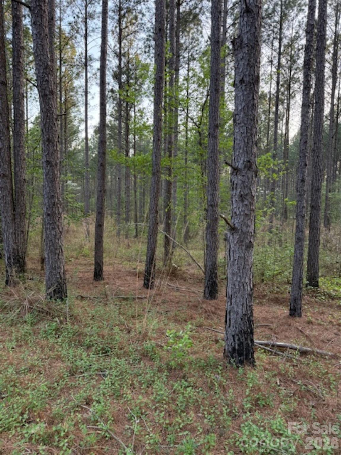 00 Spencer Pointe Road Property Photo 3