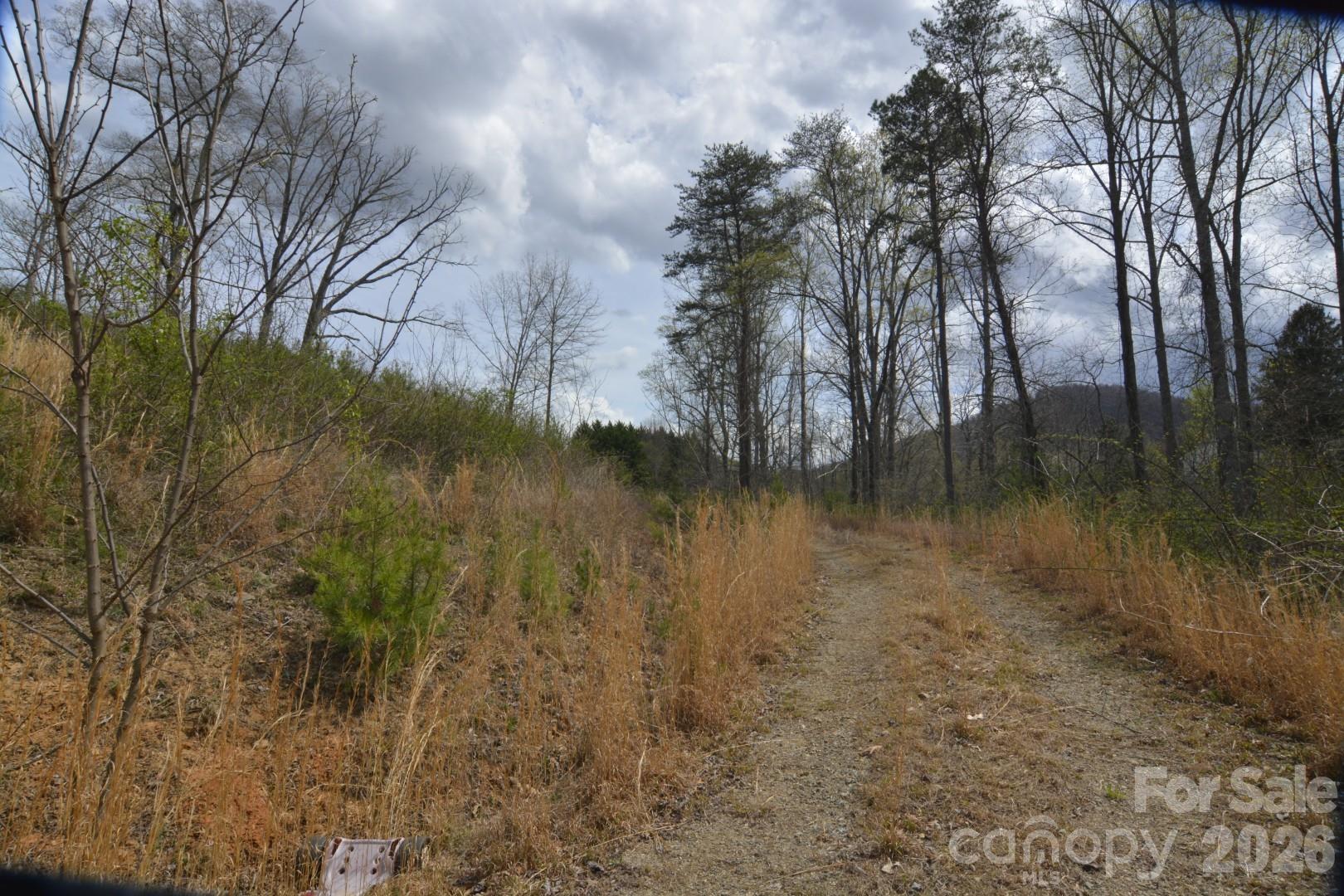 535 Old Newfound Road Property Photo 5