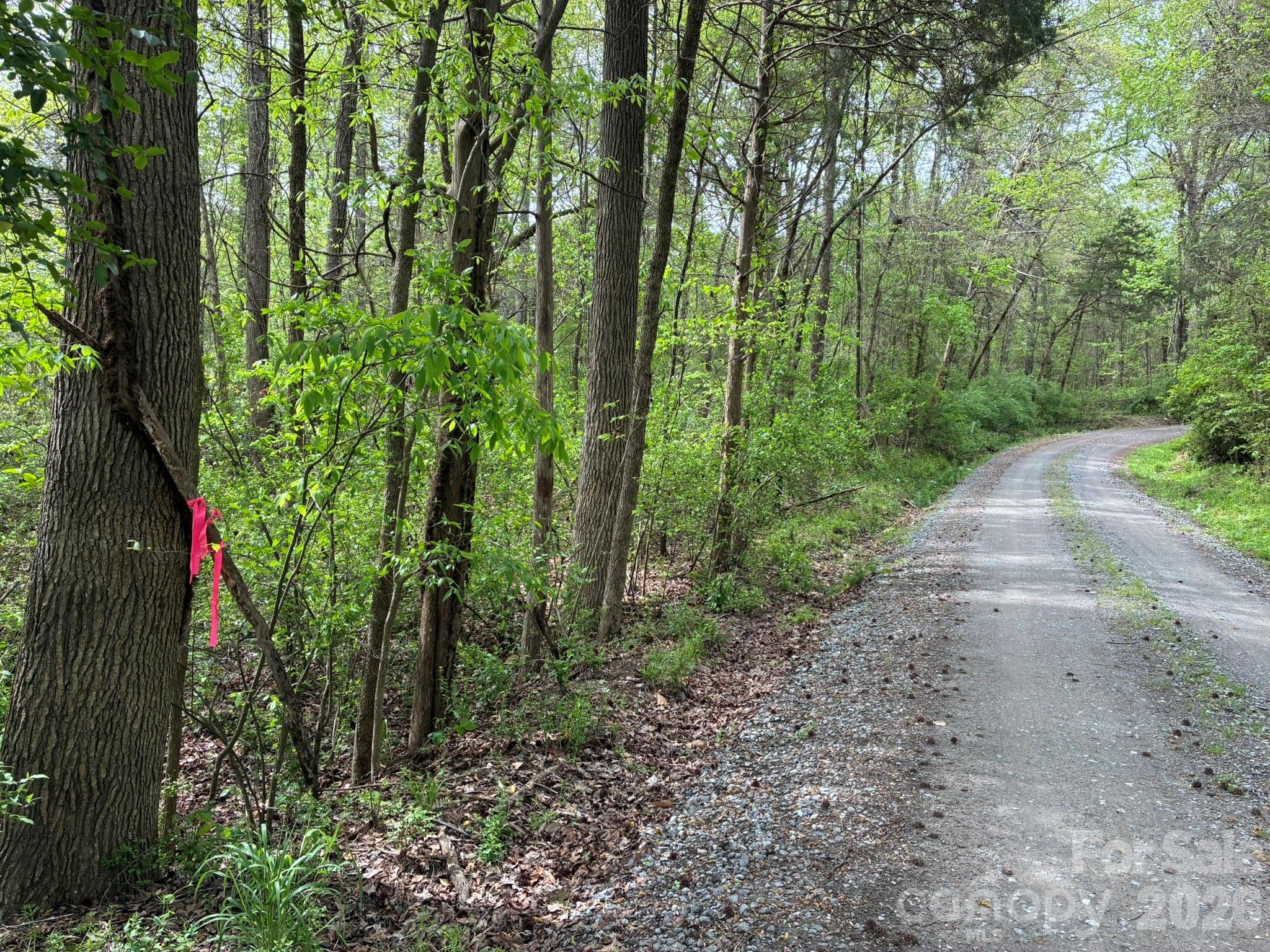 1 Miller Pond Road Property Photo 5