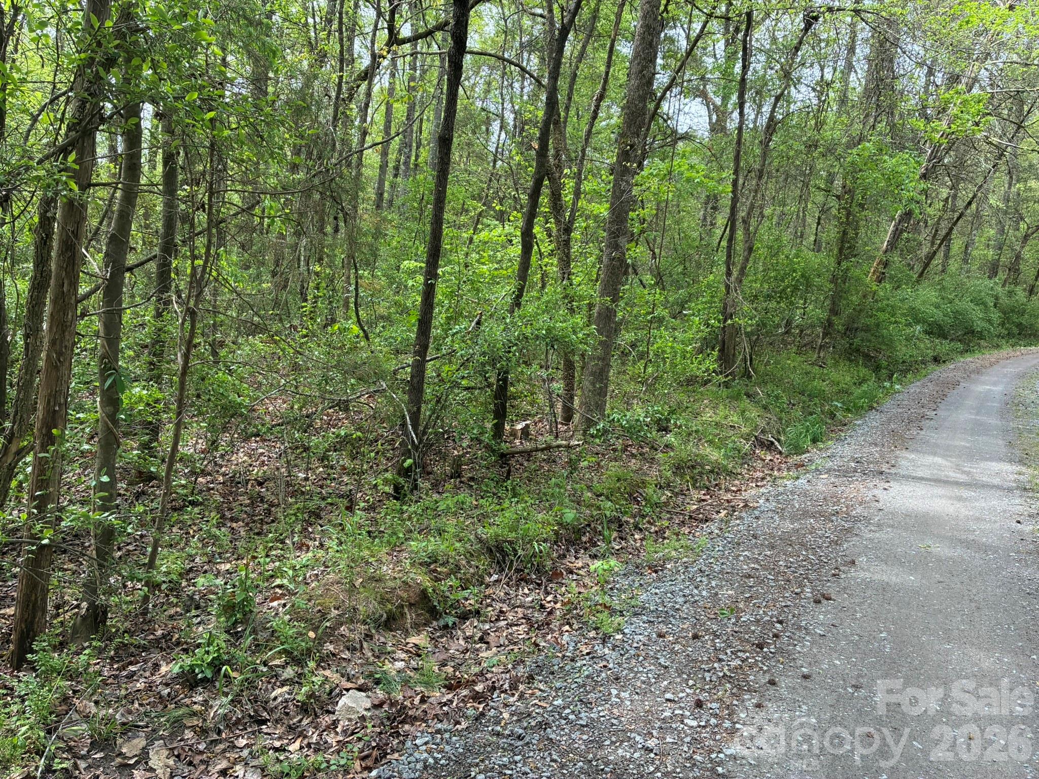 1 Miller Pond Road Property Photo 7