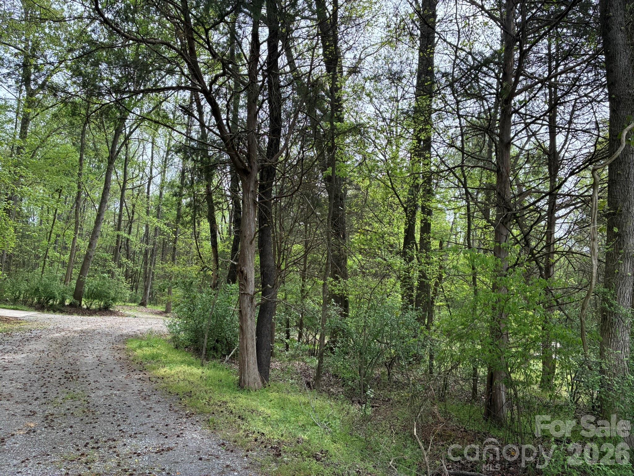 1 Miller Pond Road Property Photo 9