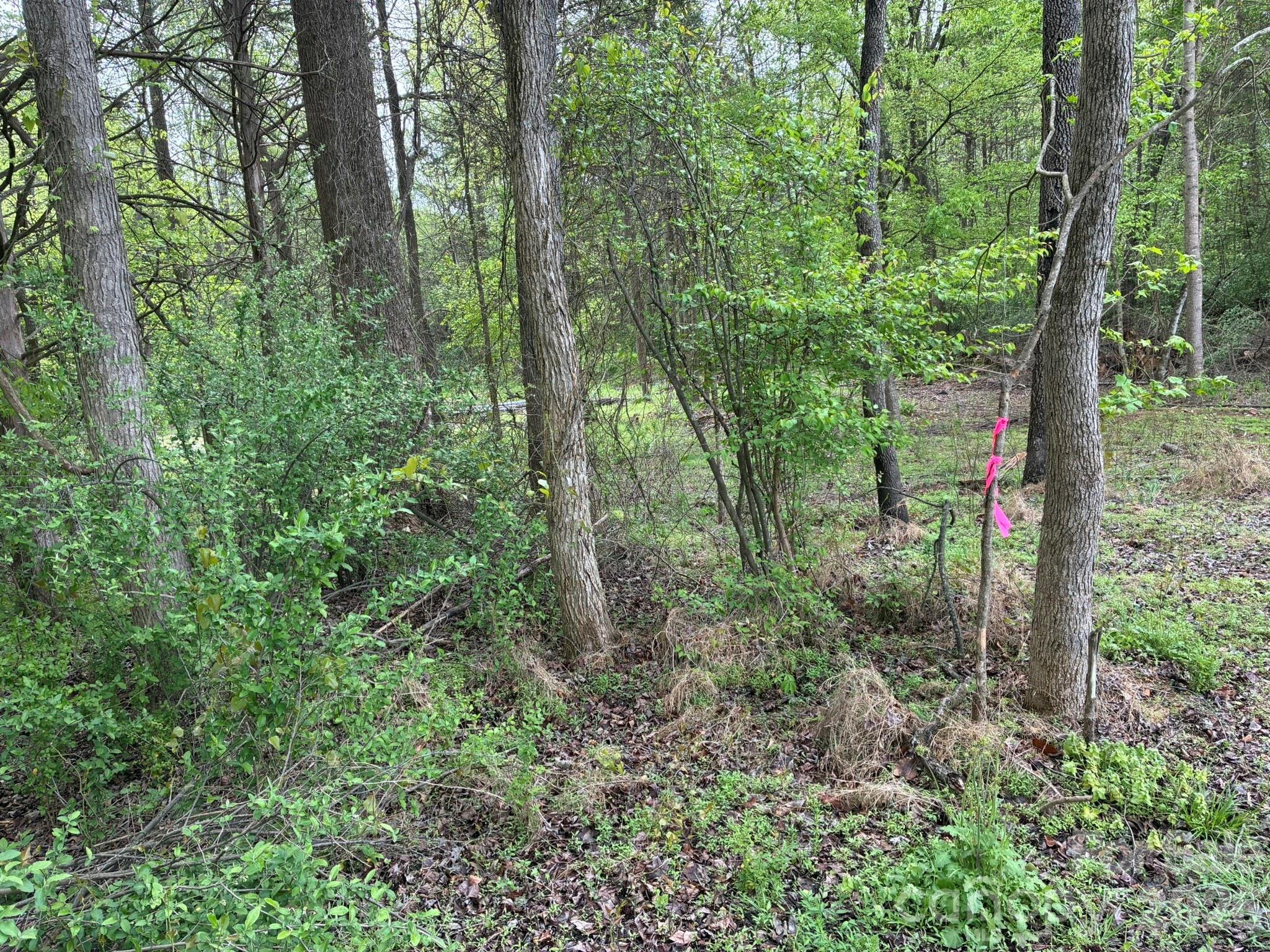 1 Miller Pond Road Property Photo 11