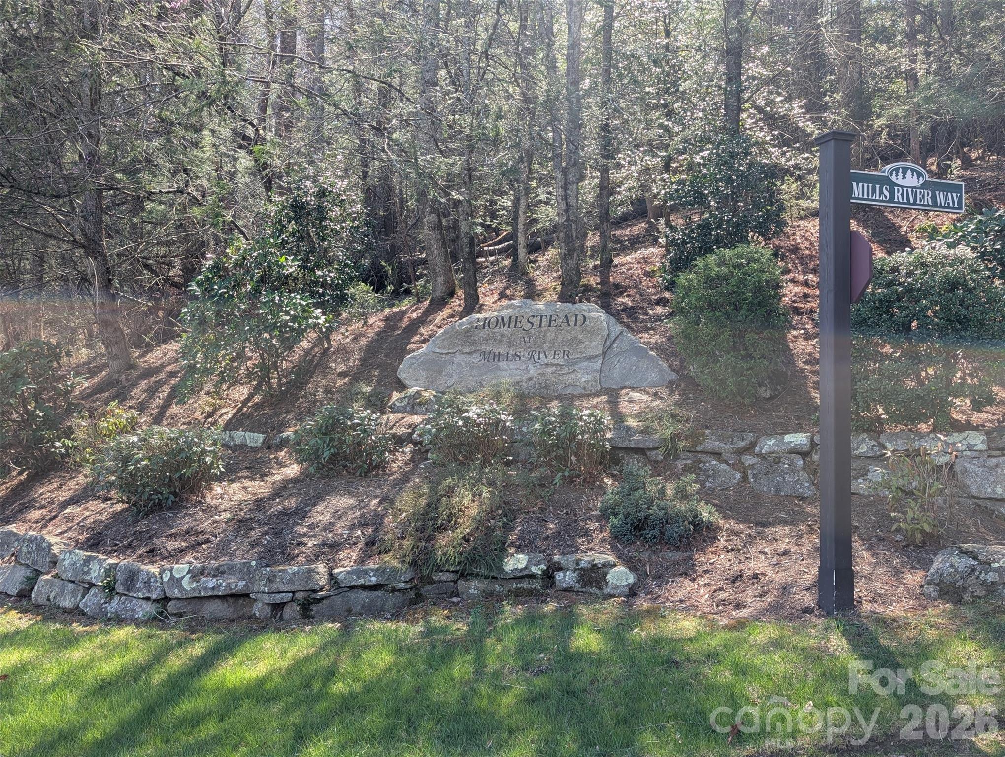 1094 Mills River Way Property Photo 1